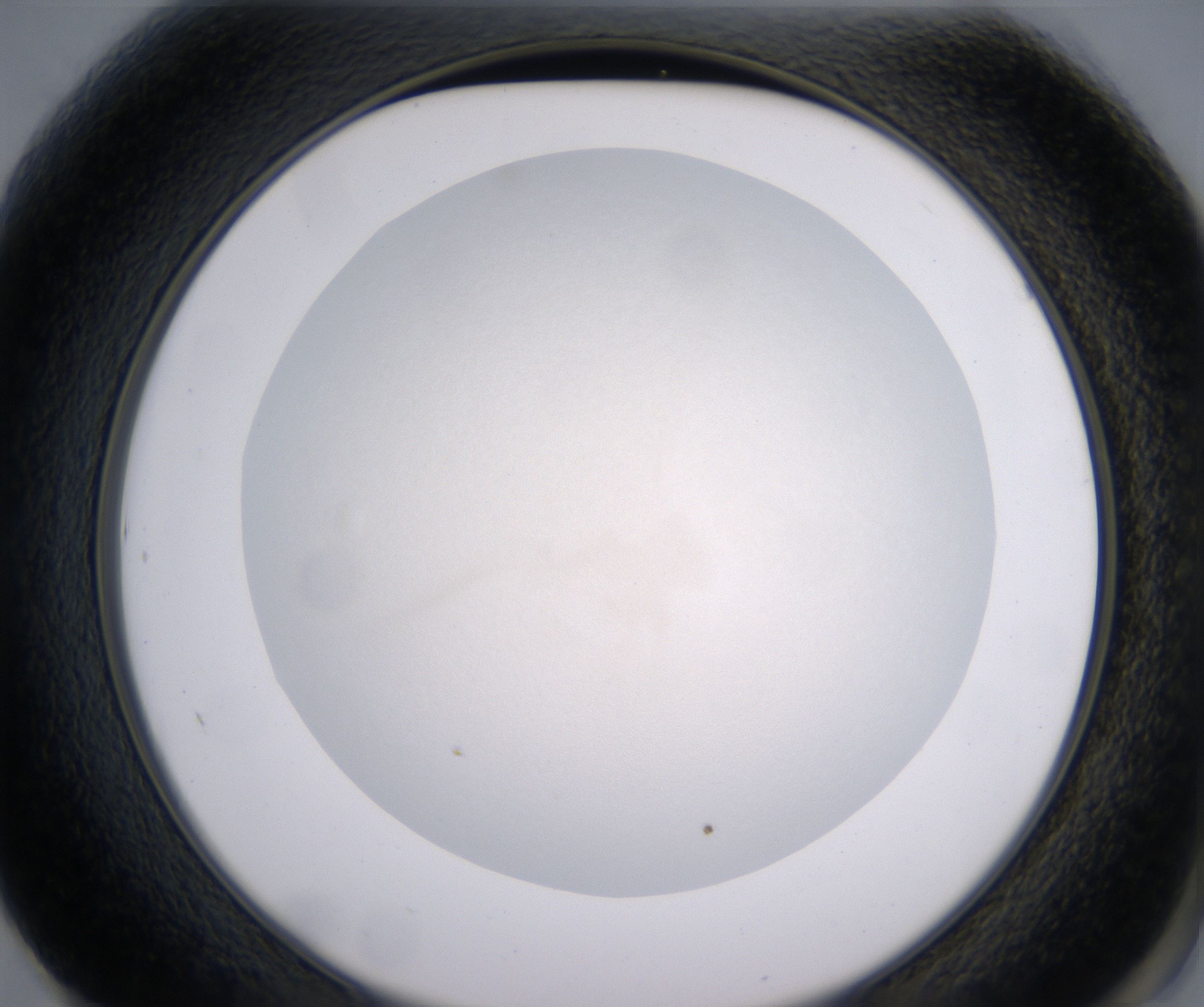 F1_HighResolution_Precipitate_2.jpg
