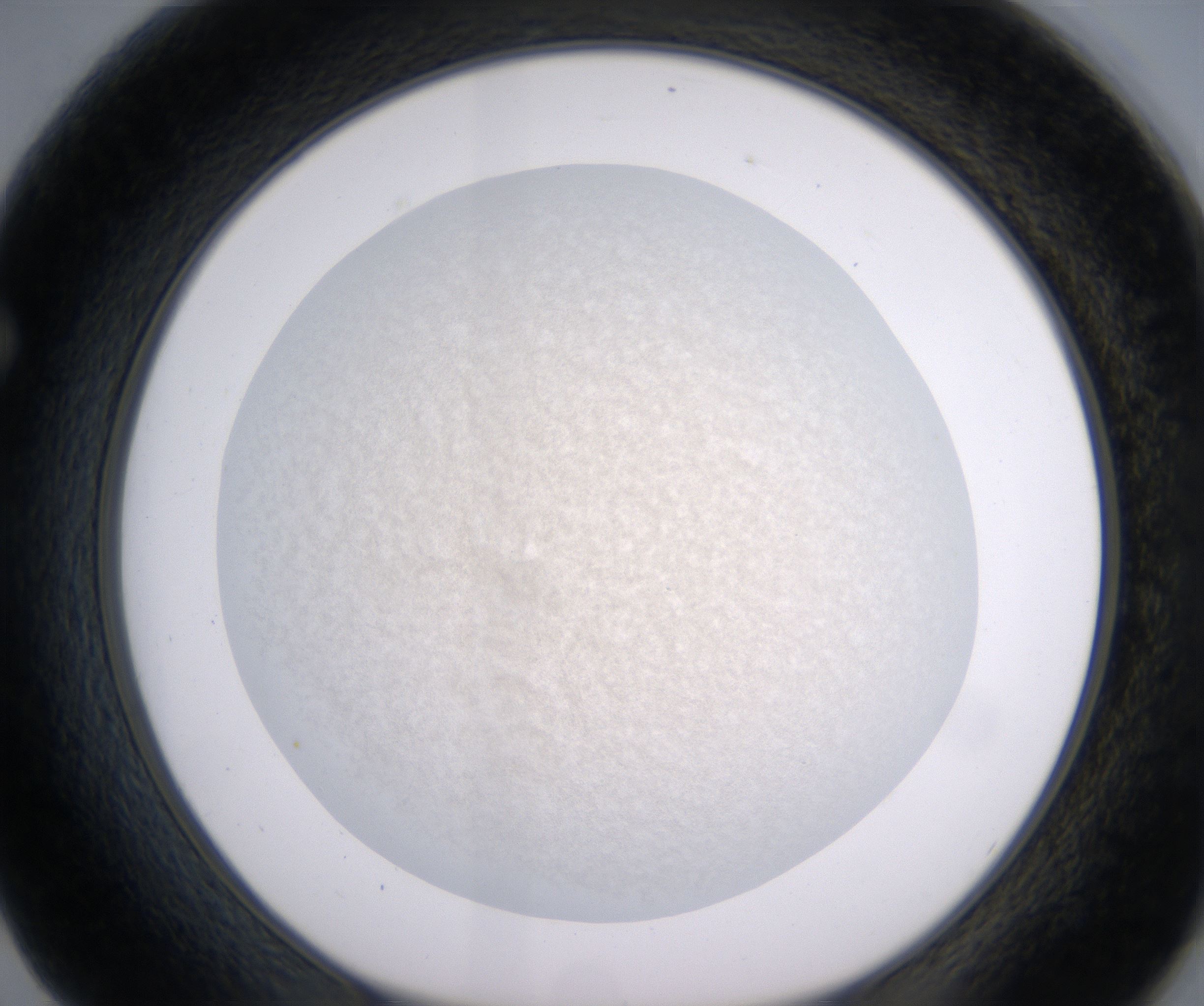 F2_HighResolution_Precipitate_1.jpg
