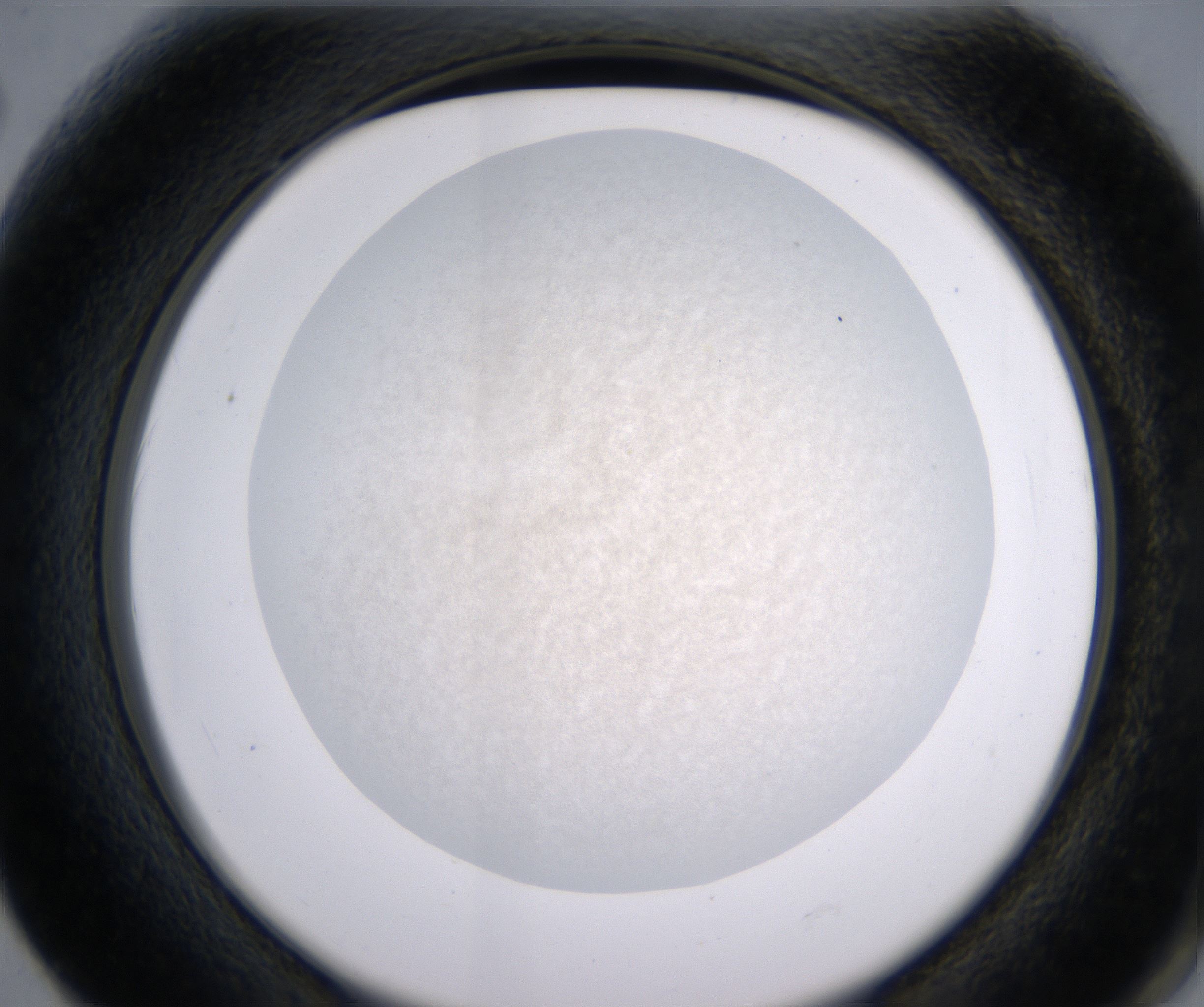 F2_HighResolution_Precipitate_2.jpg