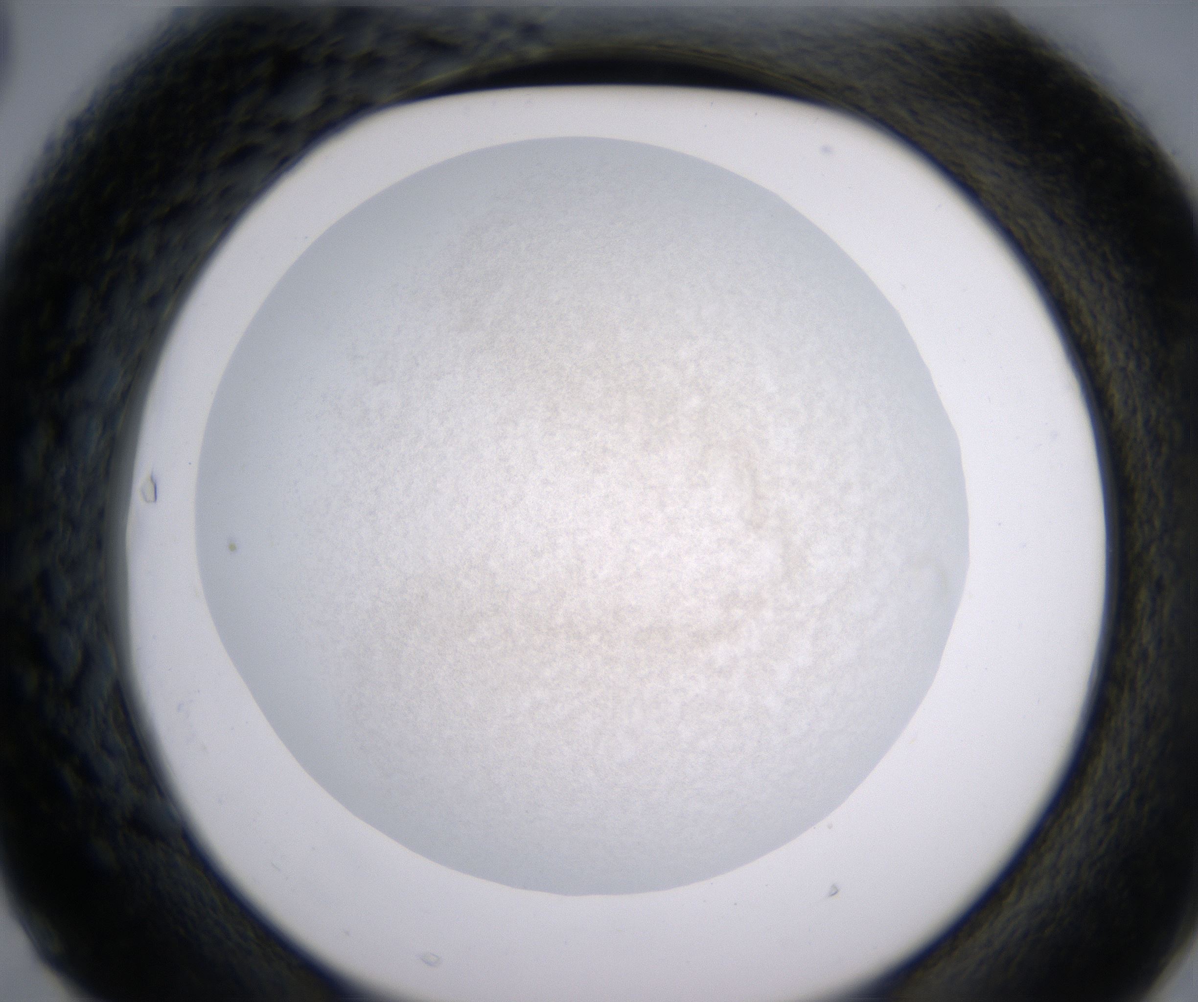 F3_HighResolution_Precipitate_2.jpg