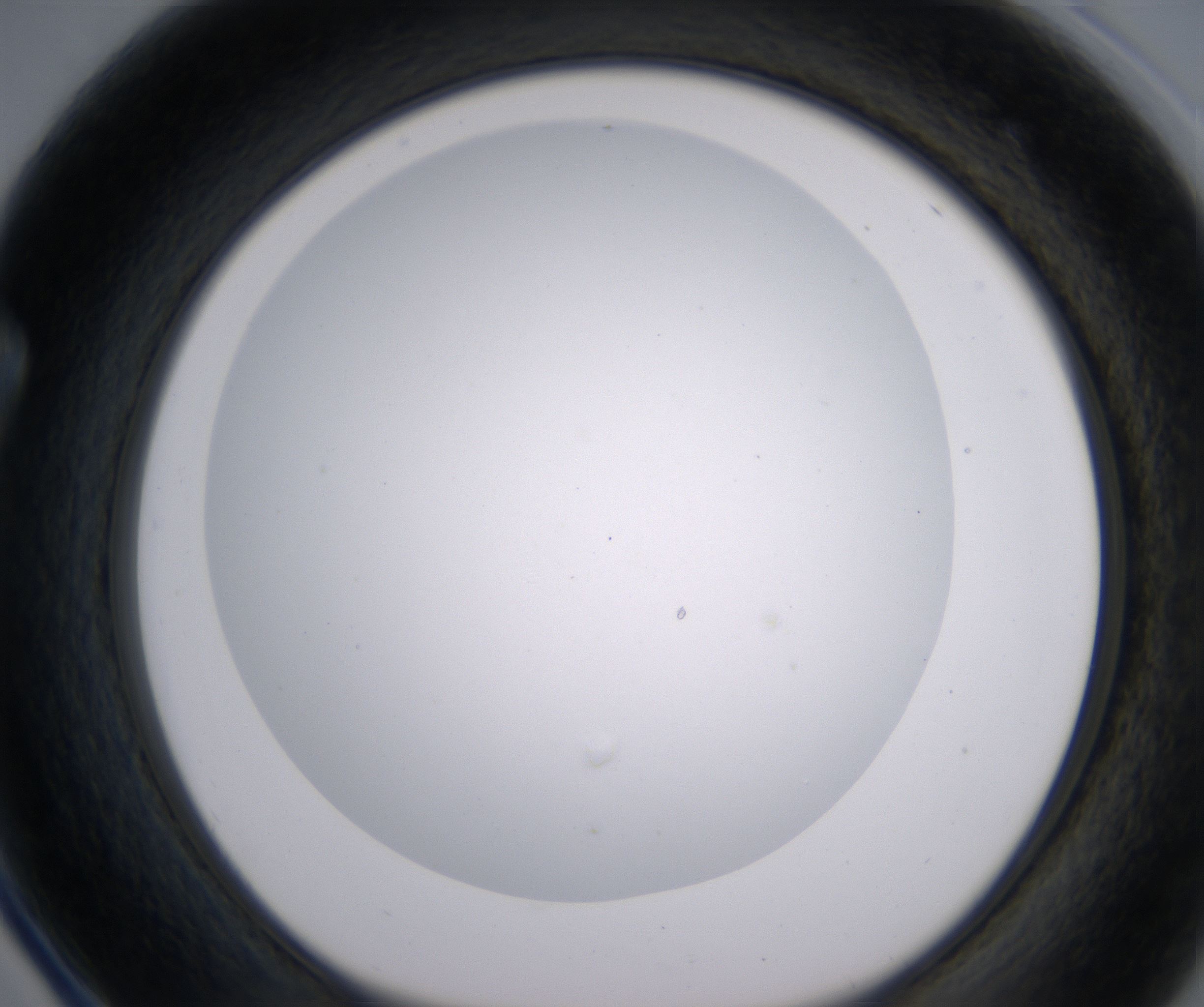F4_HighResolution_Clear_1.jpg
