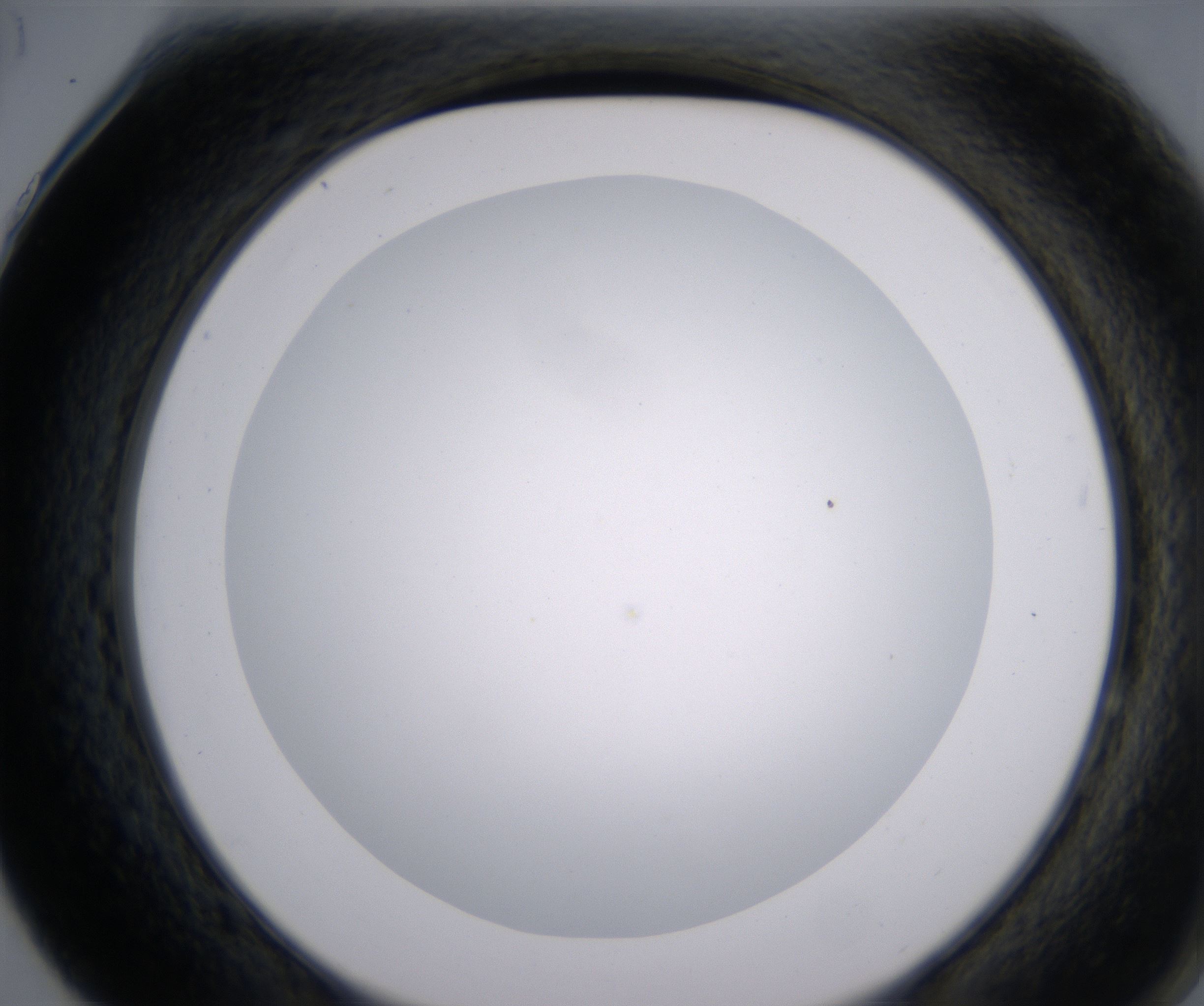 F4_HighResolution_Clear_2.jpg