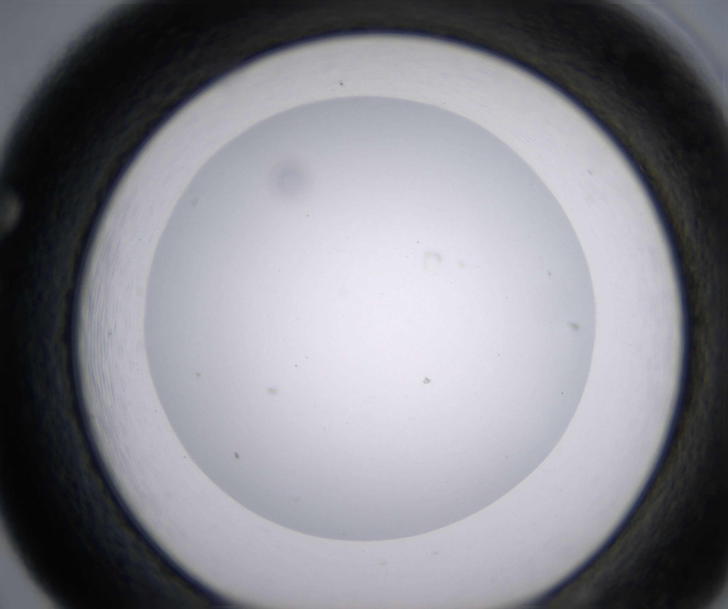 F5_HighResolution_Clear_1.jpg