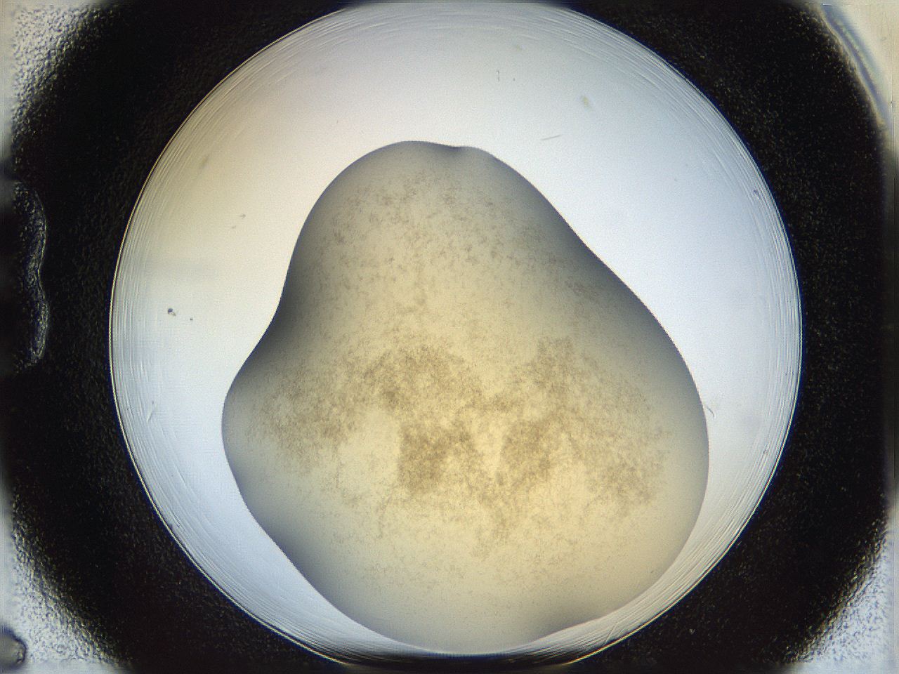 05k2_B6_ImagerDefaults_3.jpg
