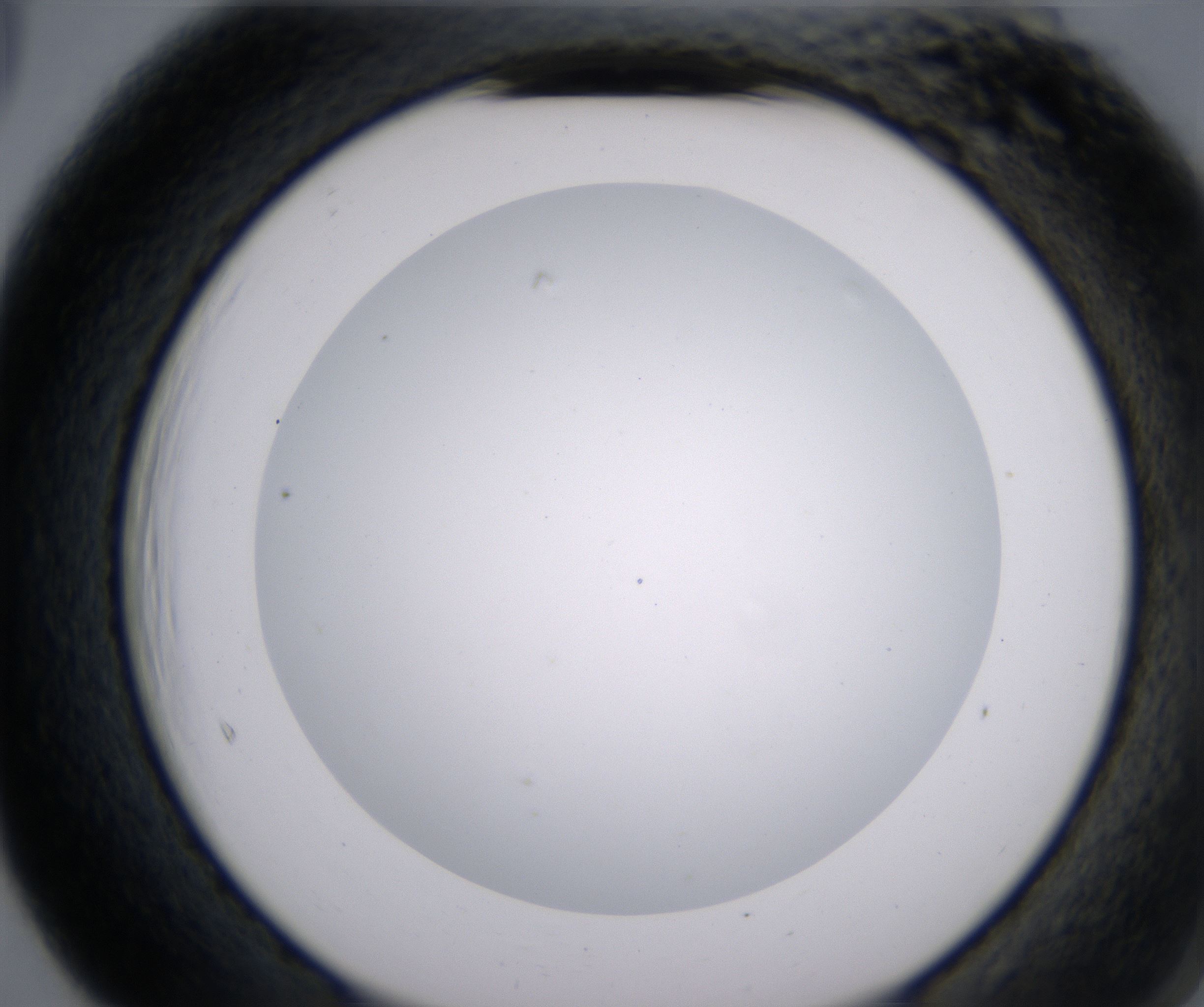F5_HighResolution_Clear_2.jpg