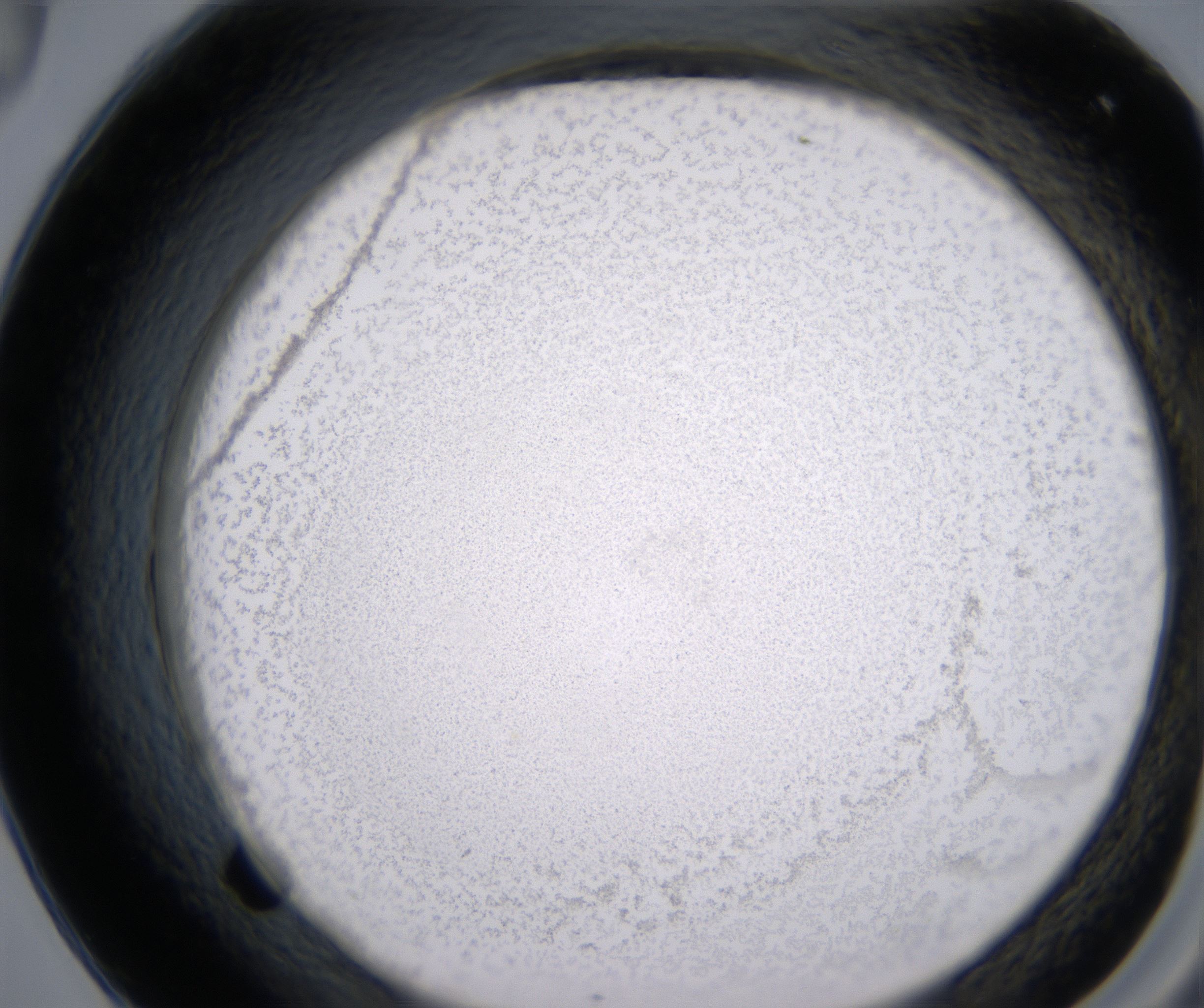 F9_HighResolution_Precipitate_2.jpg
