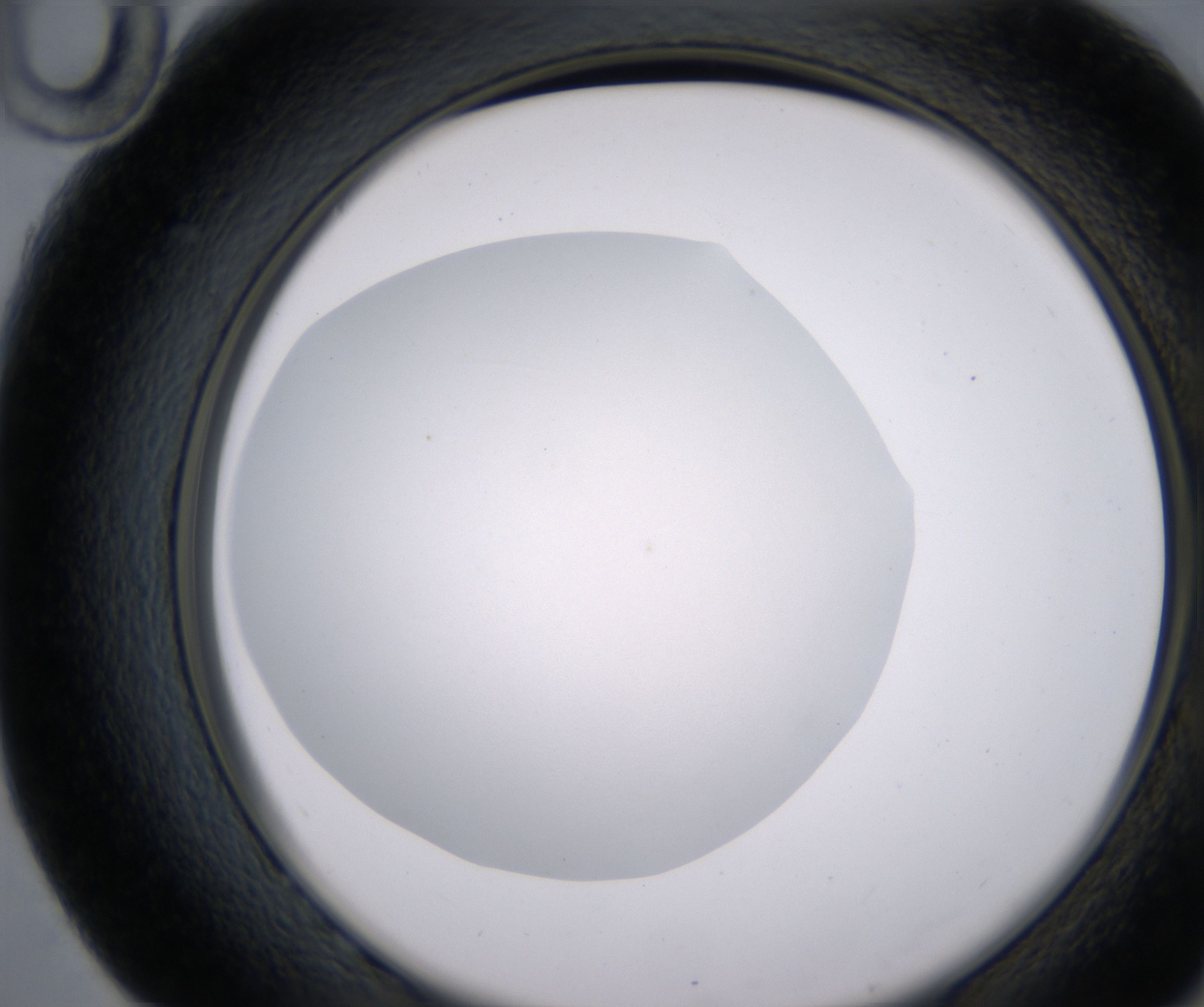 G10_HighResolution_Clear_2.jpg
