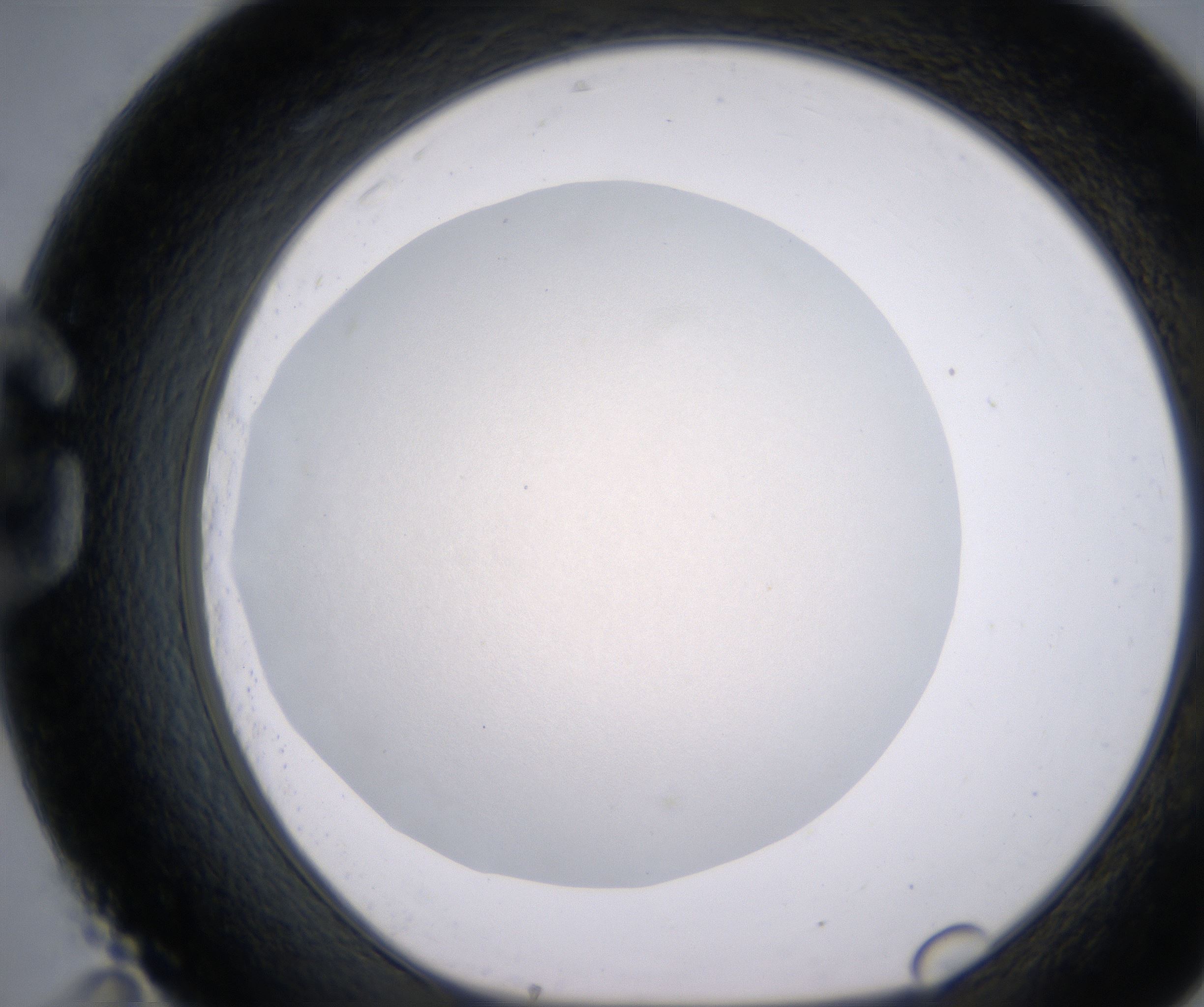 G11_HighResolution_Clear_1.jpg