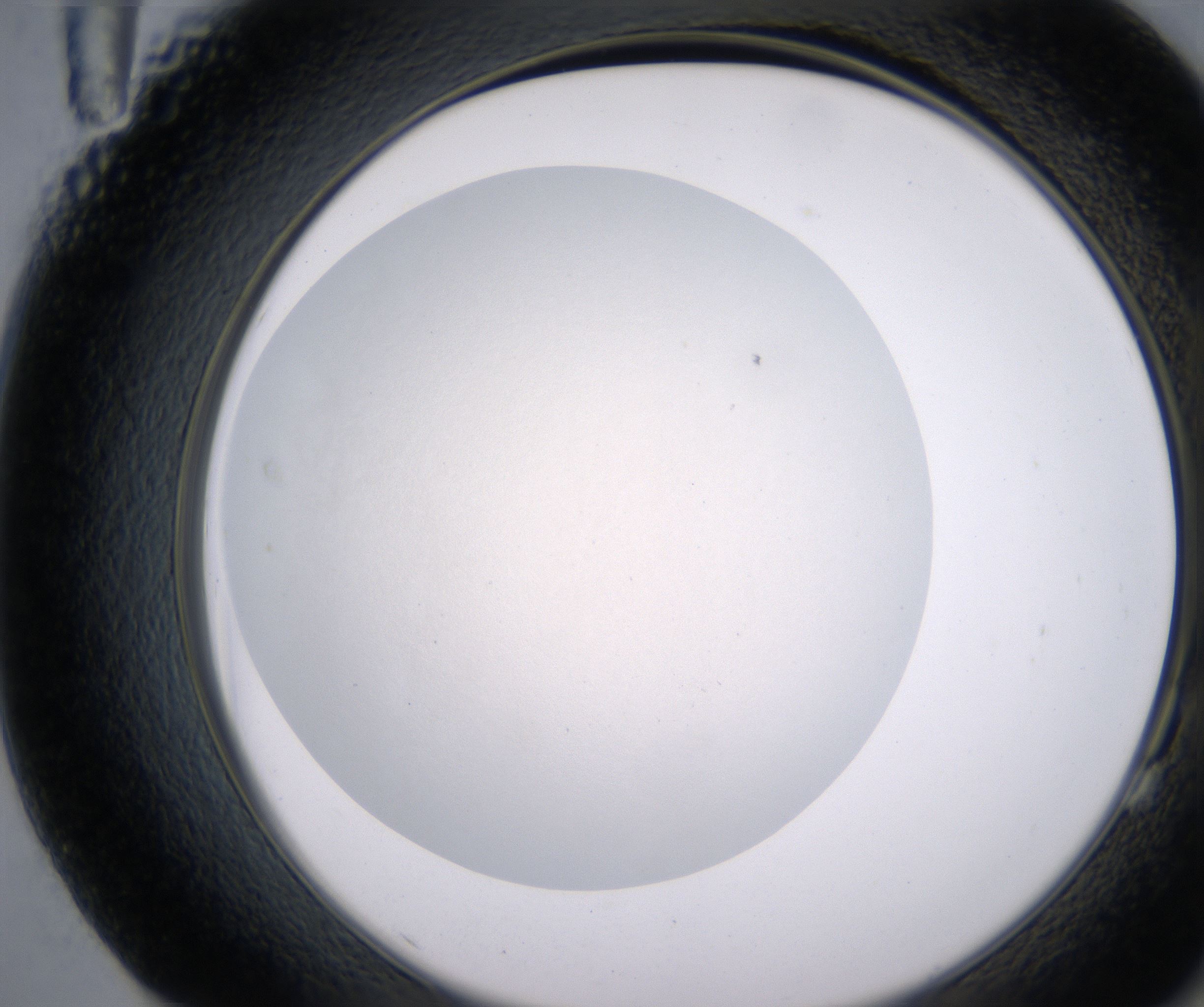 G11_HighResolution_Clear_2.jpg