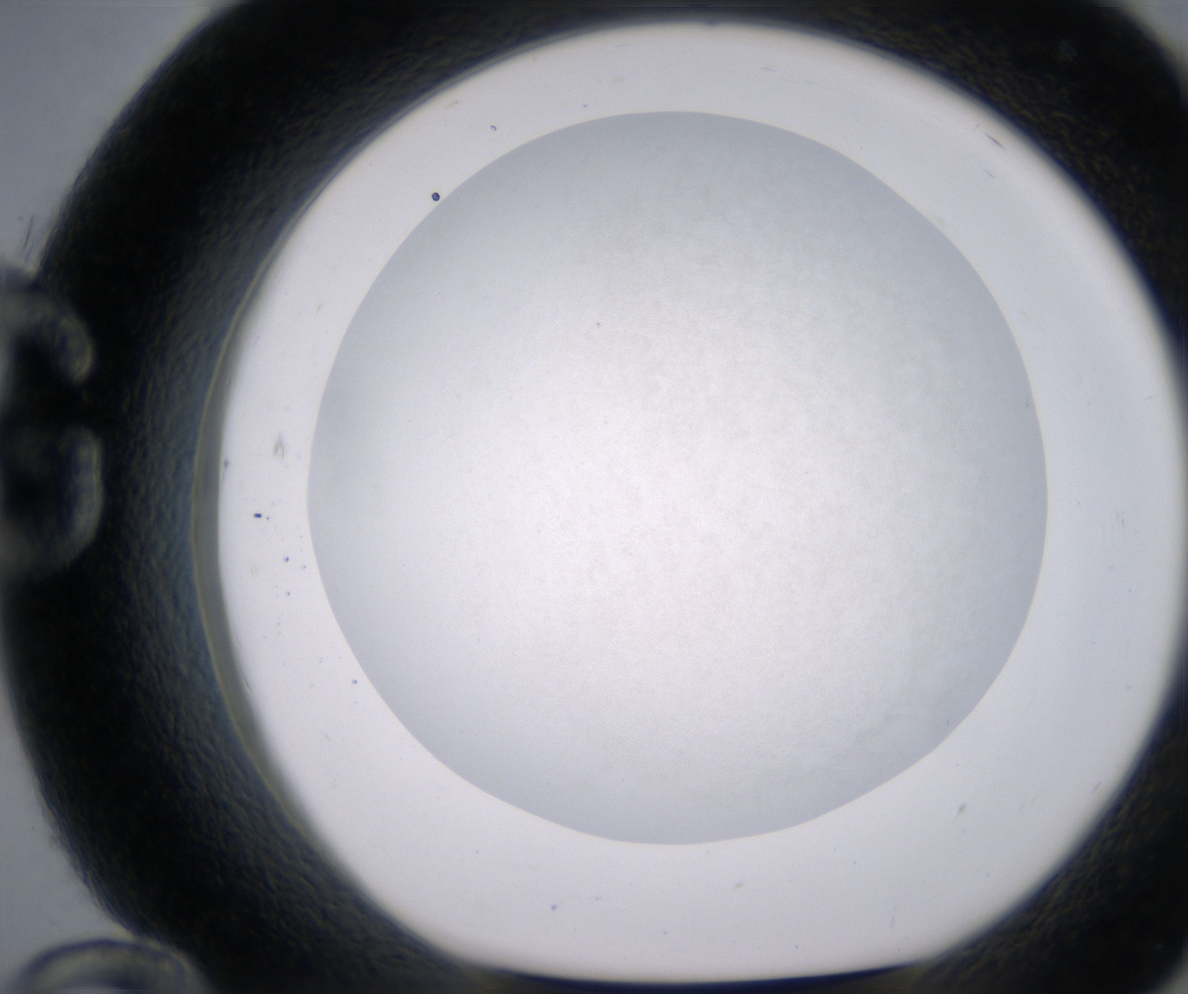 G12_HighResolution_Precipitate_1.jpg