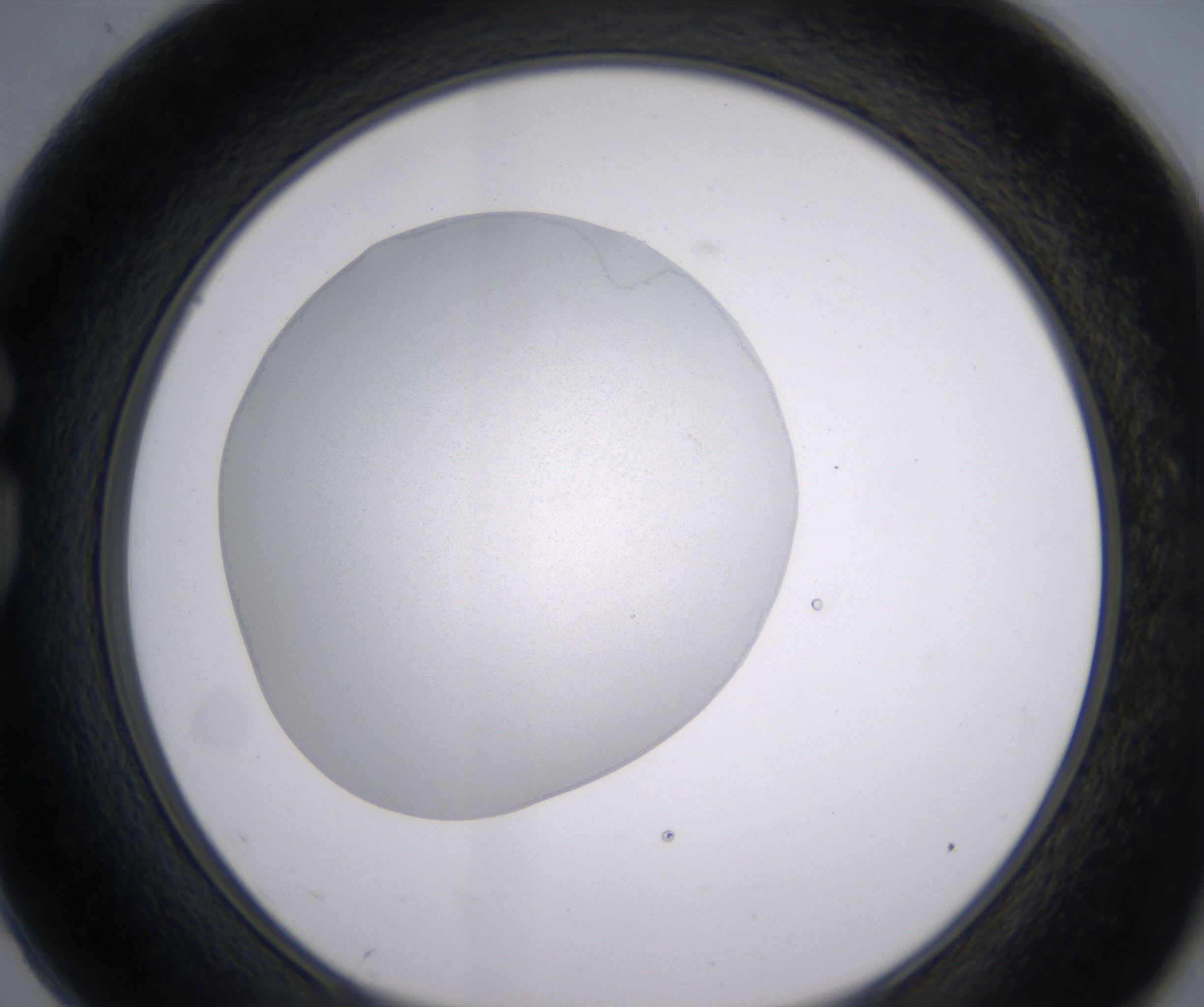 G2_HighResolution_Clear_1.jpg