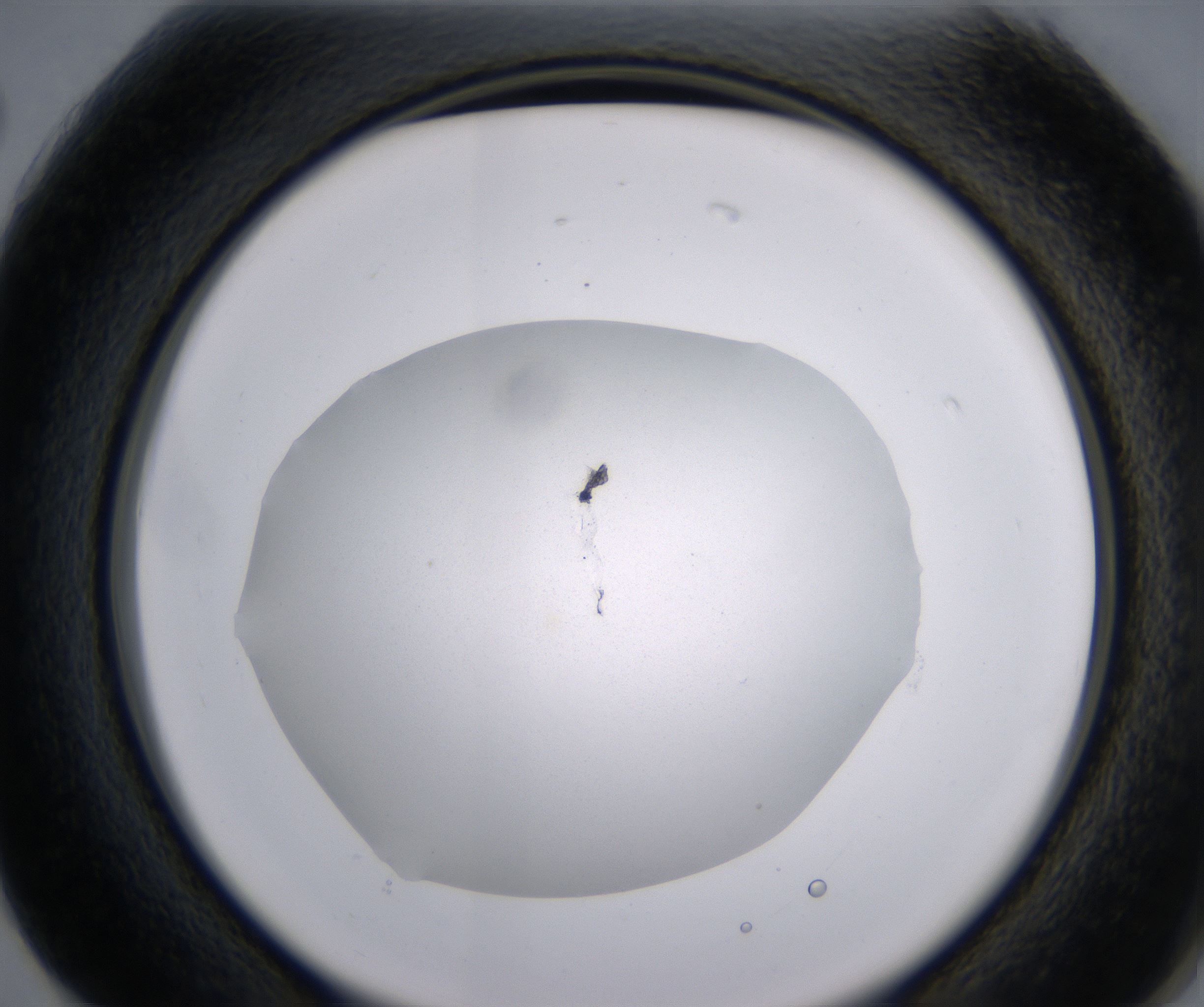 G2_HighResolution_Clear_2.jpg