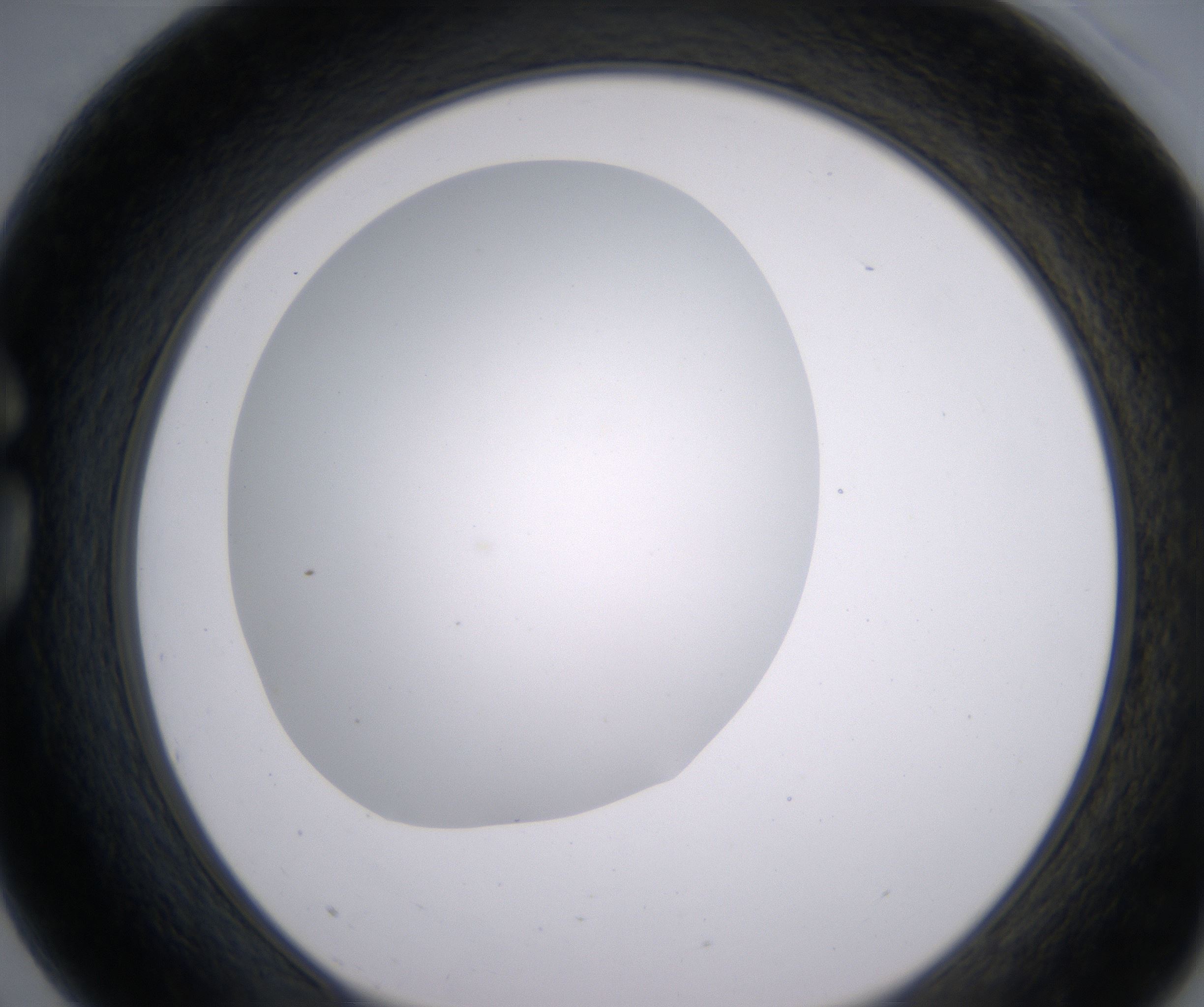 G3_HighResolution_Clear_1.jpg