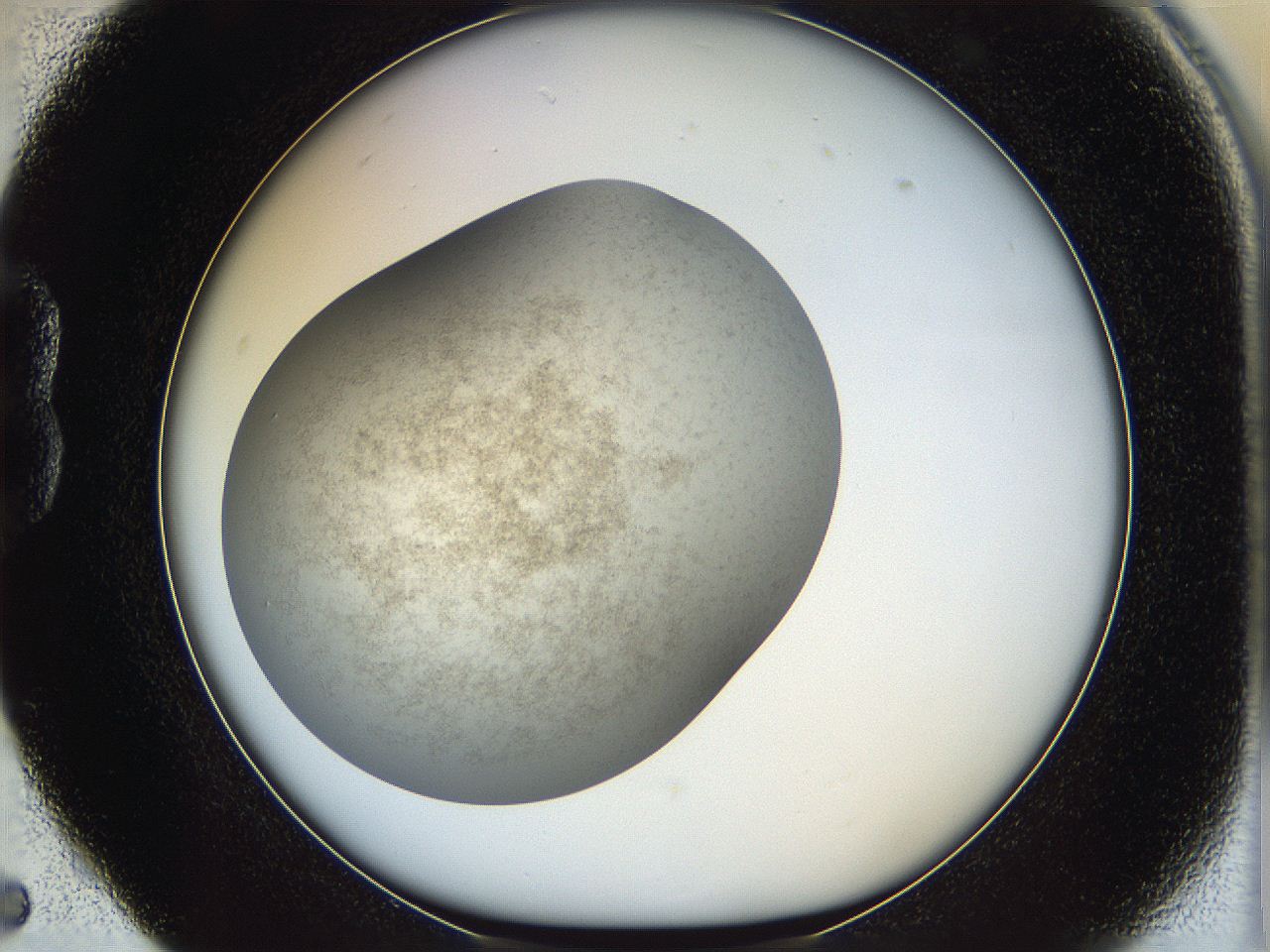 05k2_B5_ImagerDefaults_3.jpg