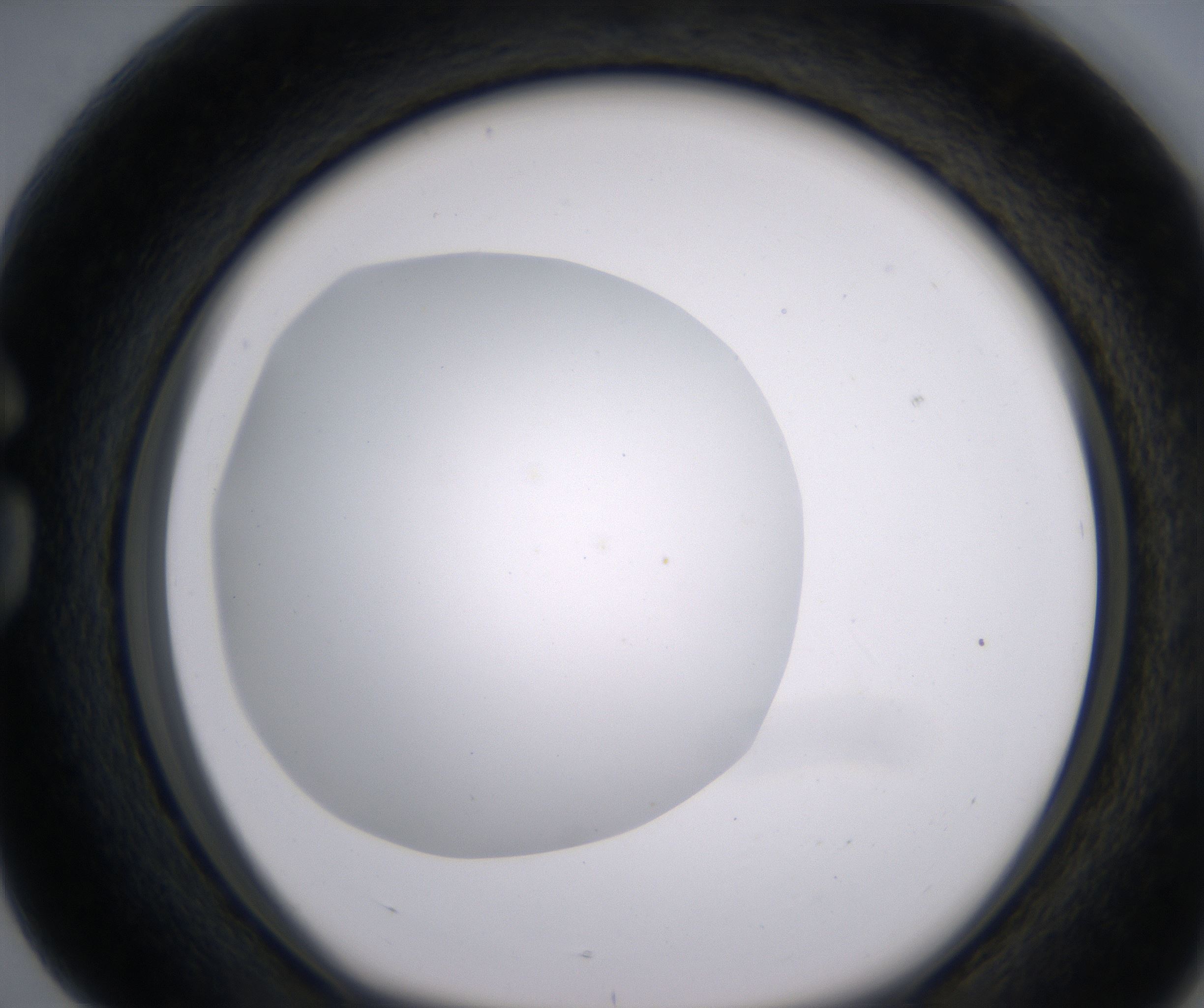 G4_HighResolution_Clear_1.jpg