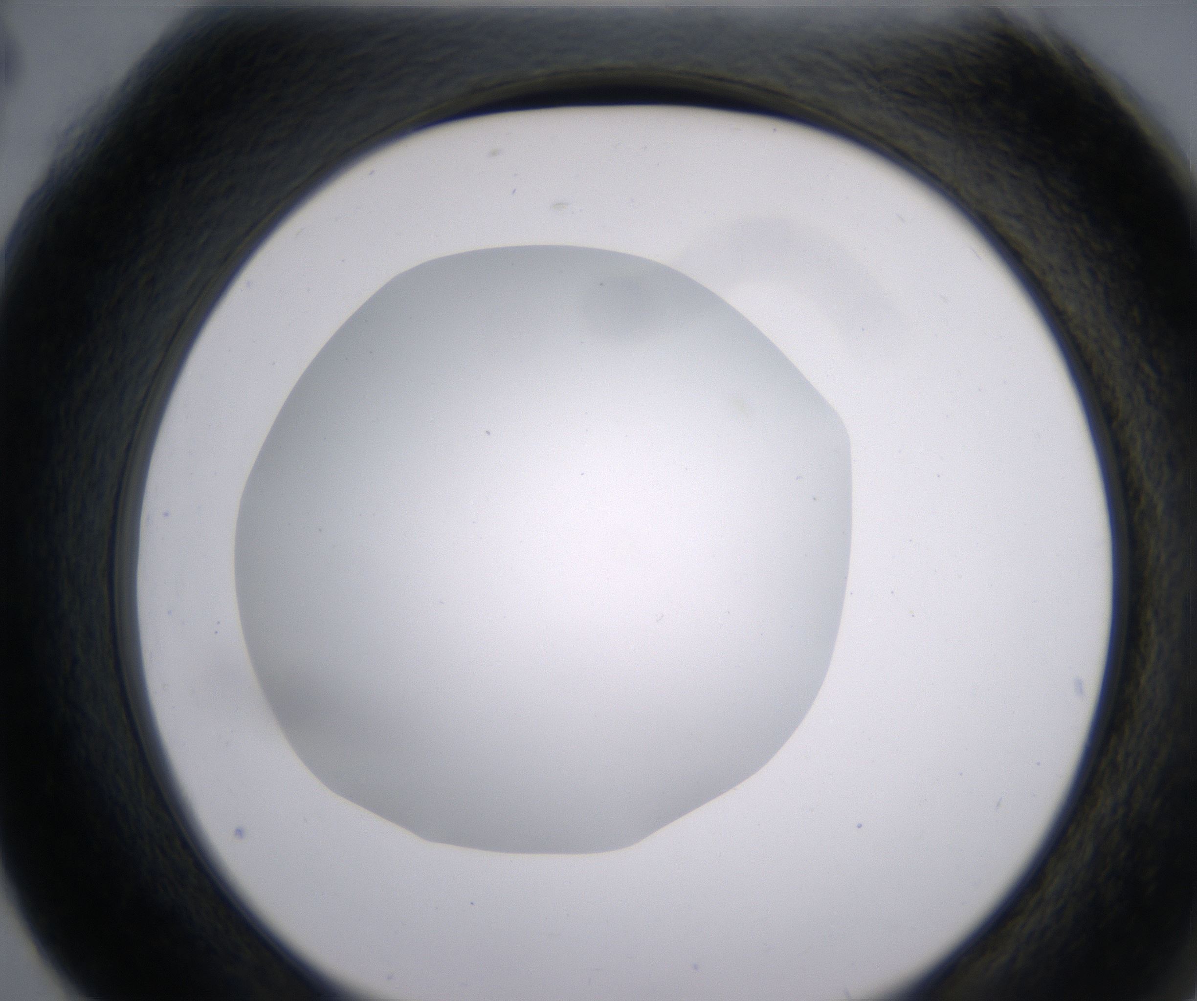 G4_HighResolution_Clear_2.jpg