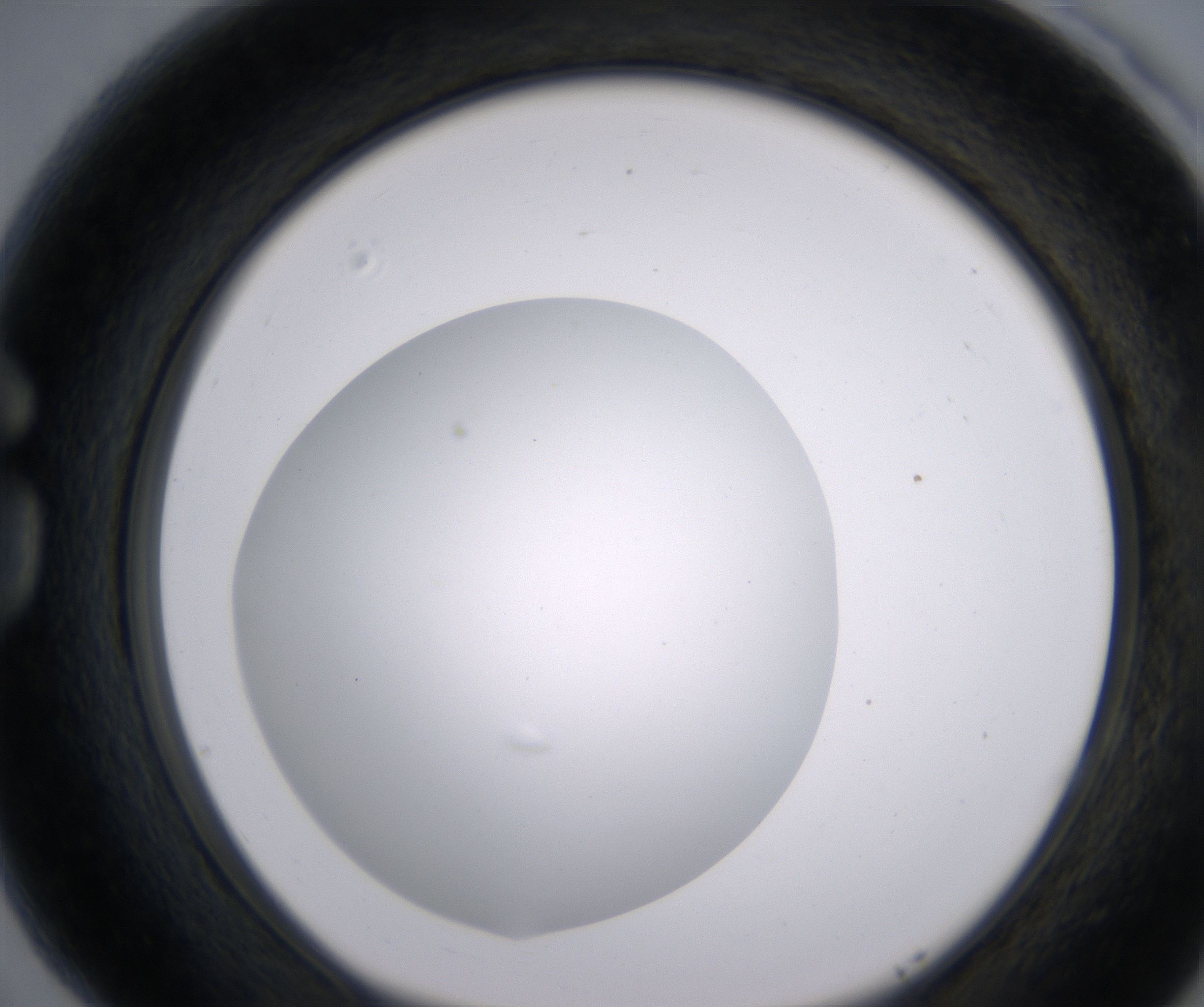 G5_HighResolution_Clear_1.jpg