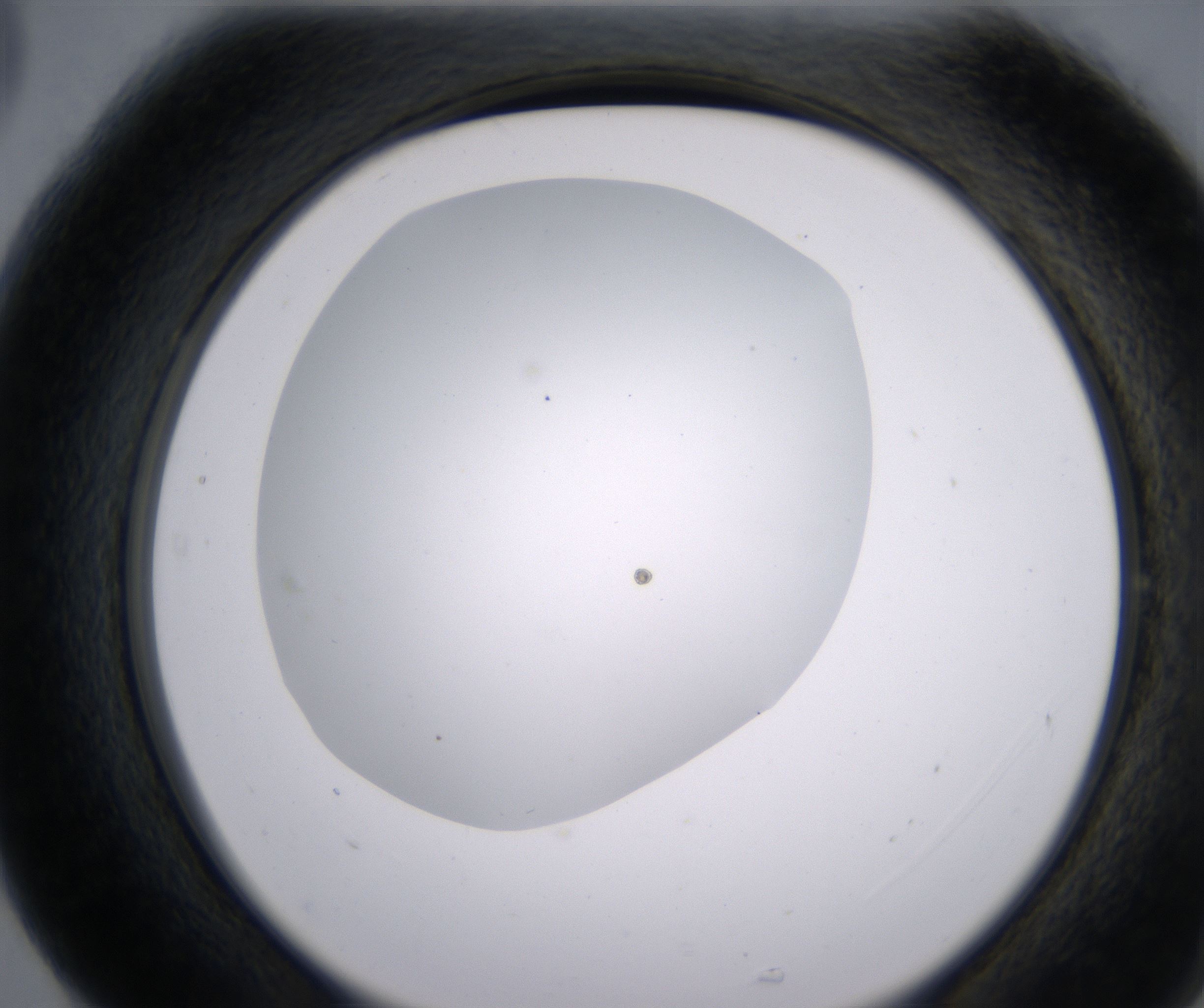 G5_HighResolution_Clear_2.jpg