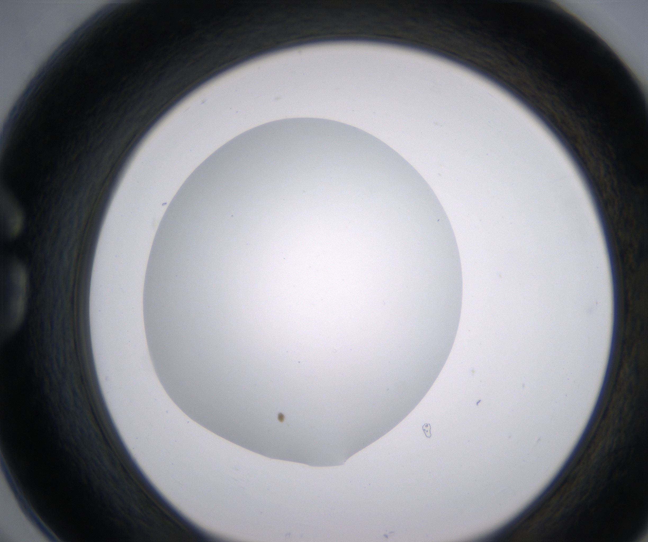 G6_HighResolution_Clear_1.jpg