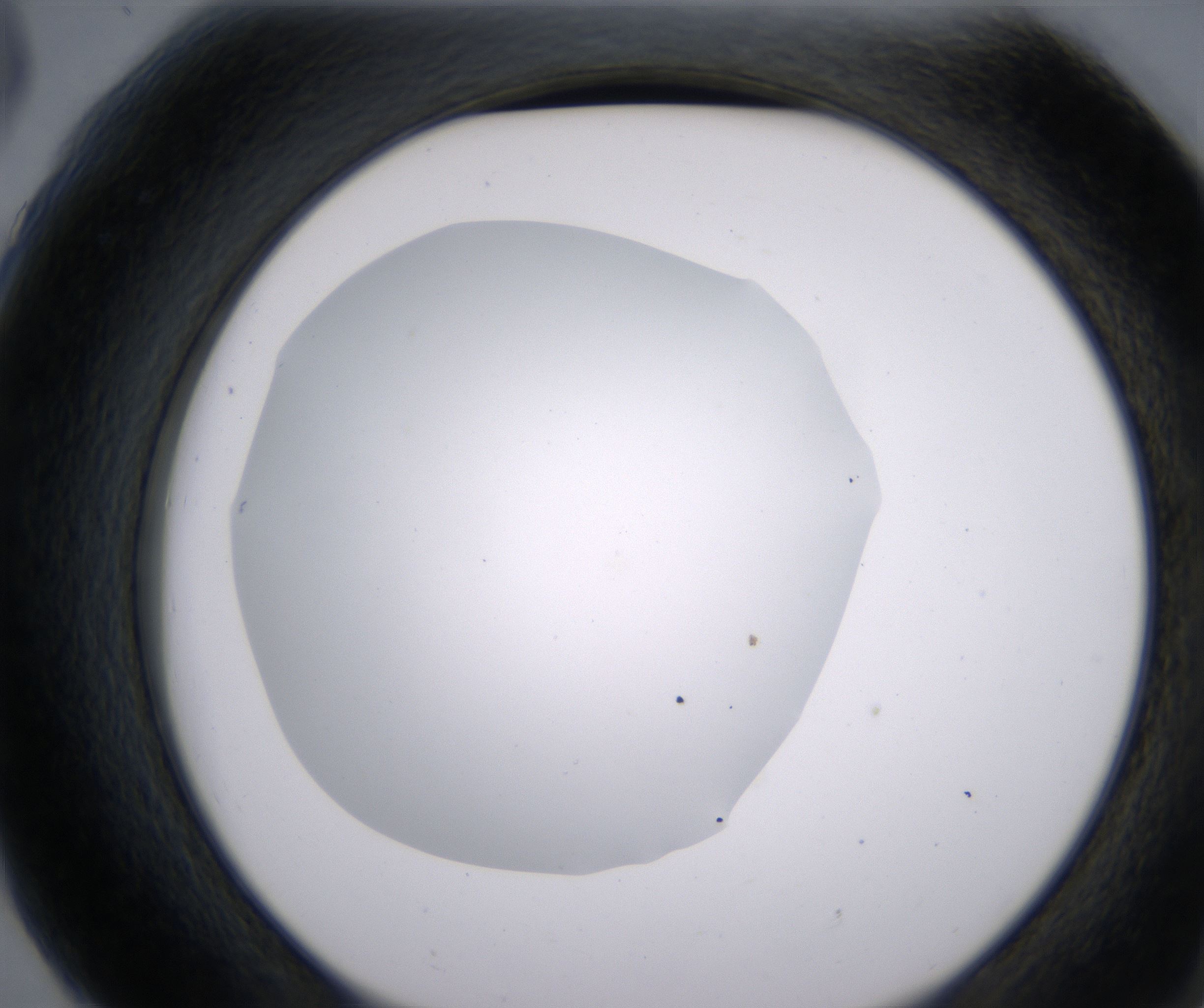 G6_HighResolution_Clear_2.jpg