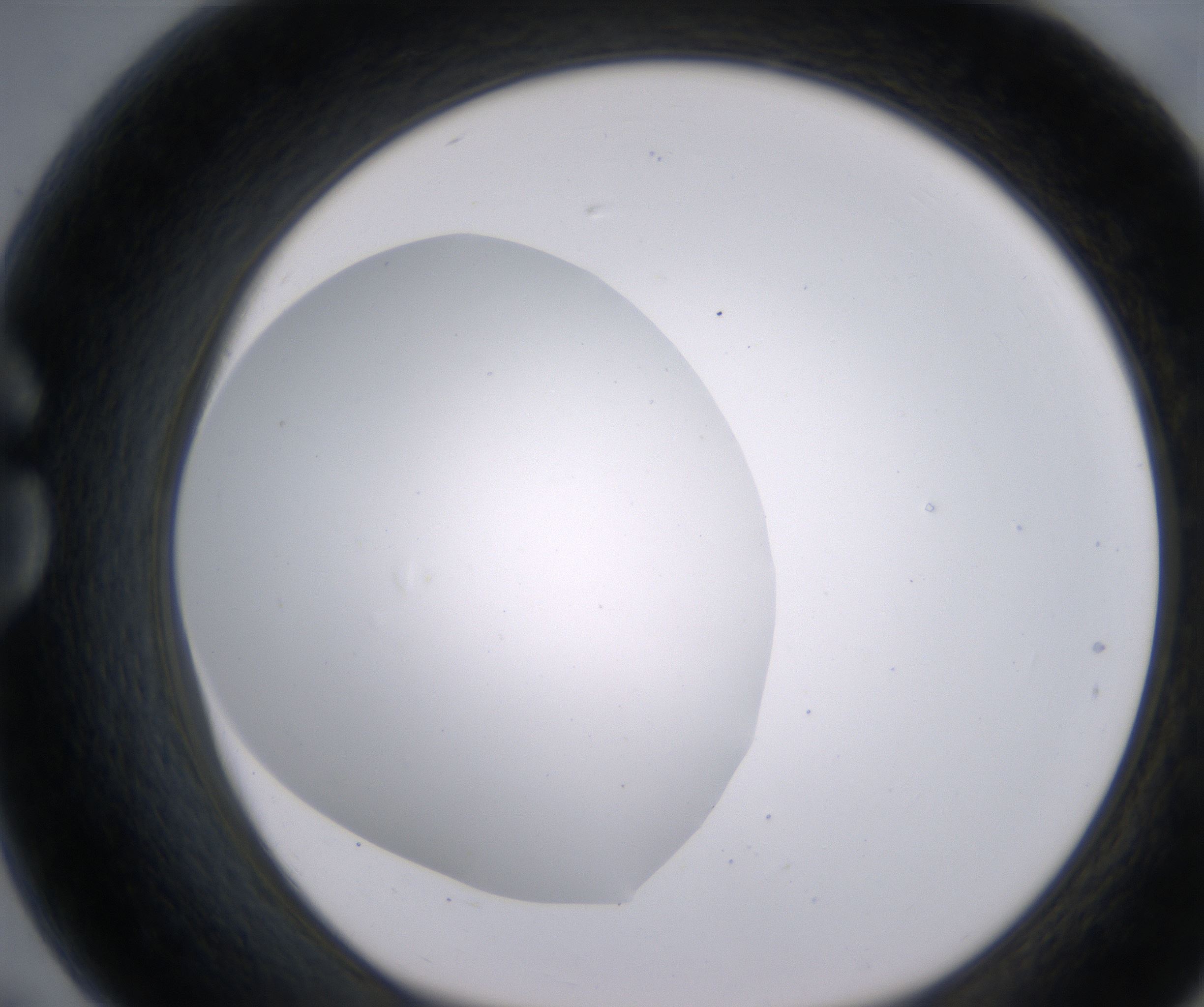 G7_HighResolution_Clear_1.jpg
