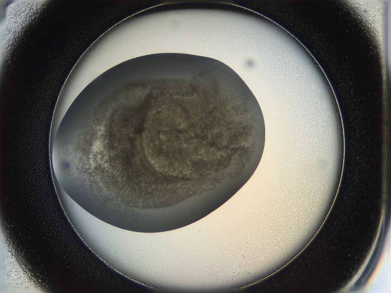 05k2_B4_ImagerDefaults_3.jpg