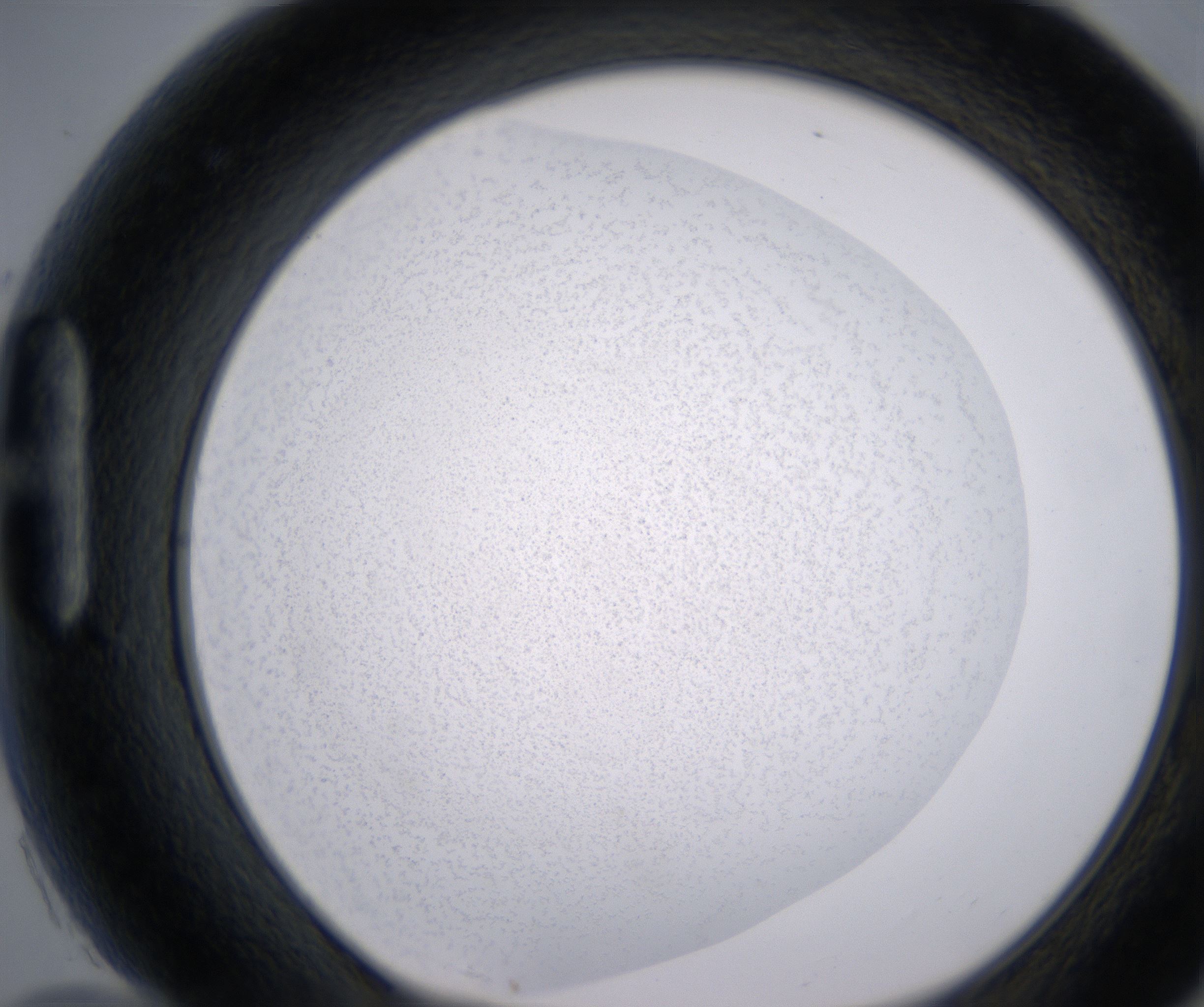 H10_HighResolution_Precipitate_1.jpg