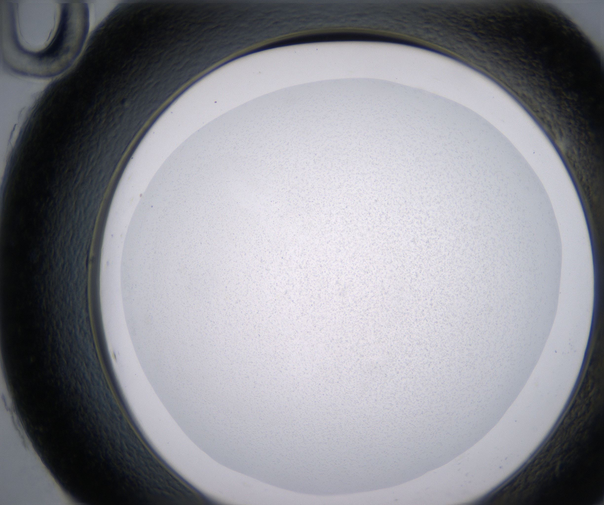 H10_HighResolution_Precipitate_2.jpg