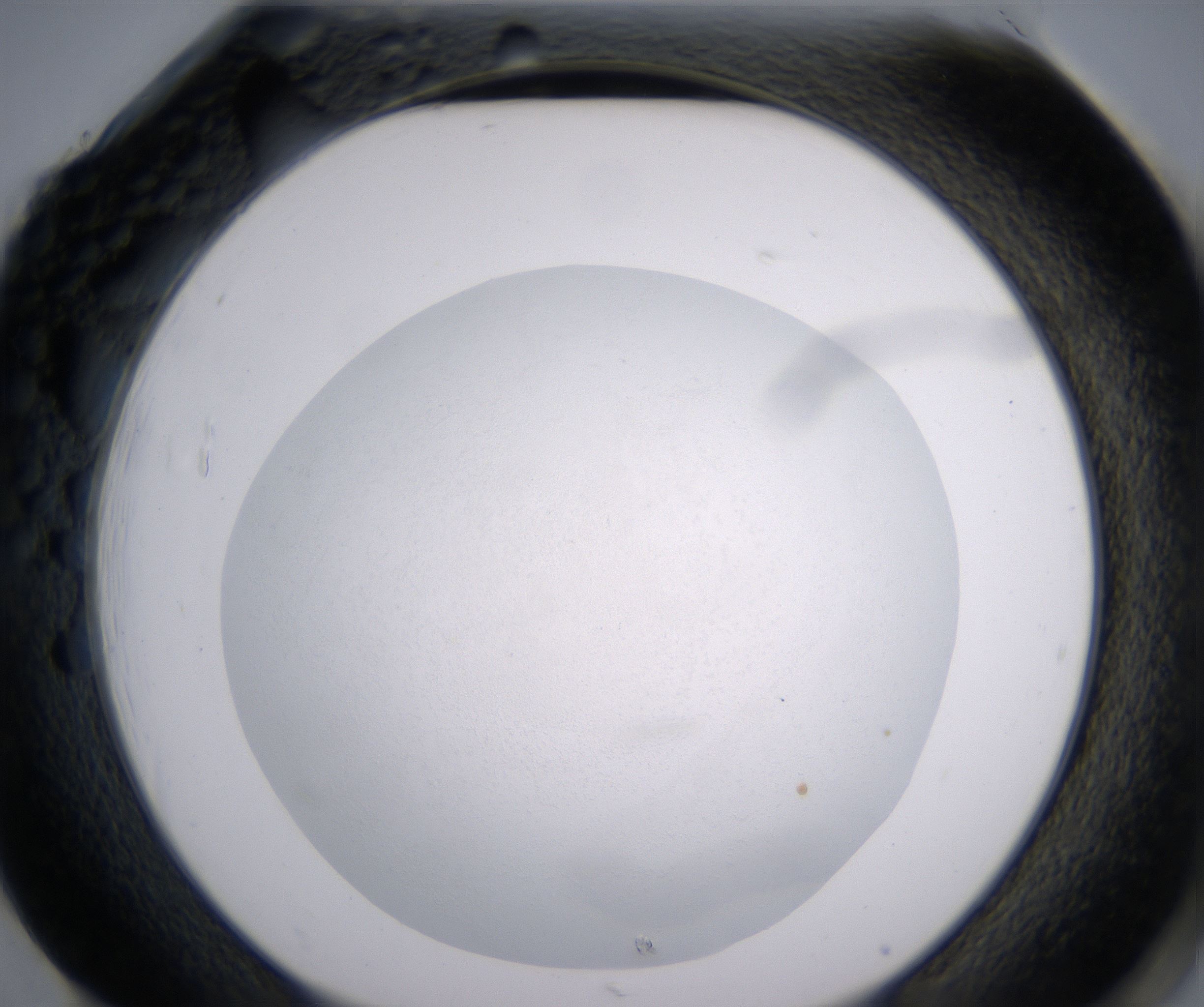 H1_HighResolution_Clear_2.jpg