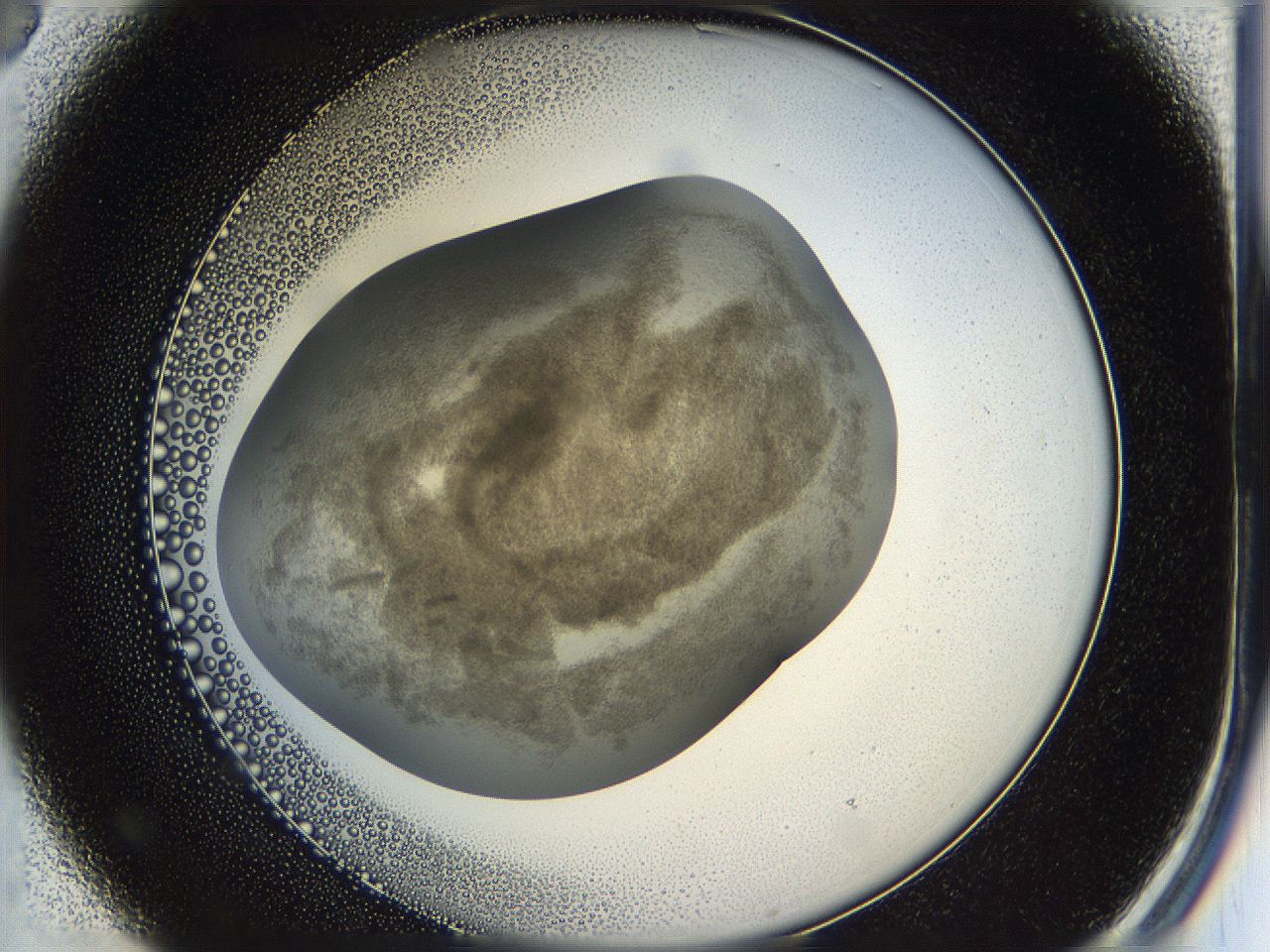 05k2_B3_ImagerDefaults_3.jpg
