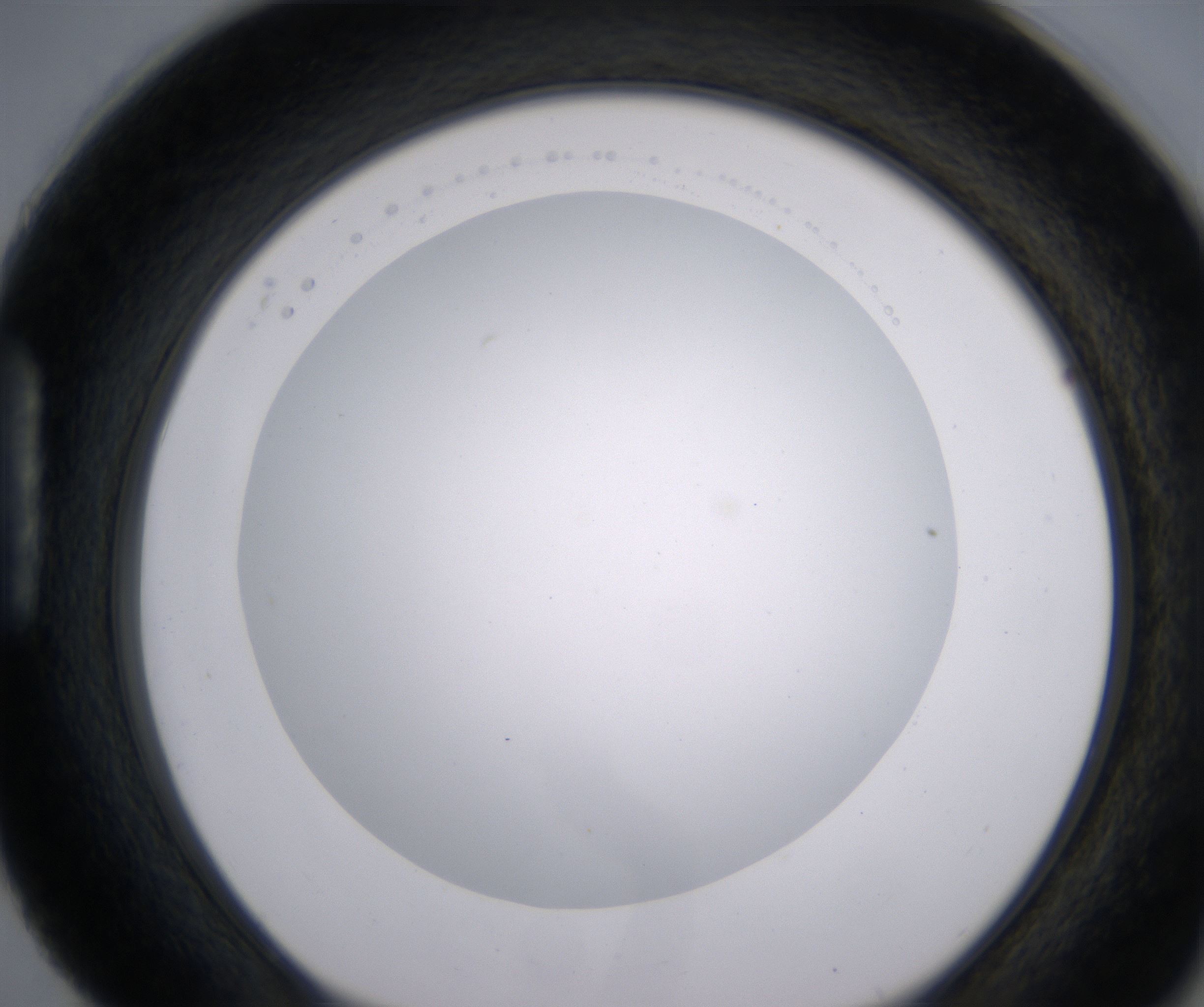 H4_HighResolution_Clear_1.jpg