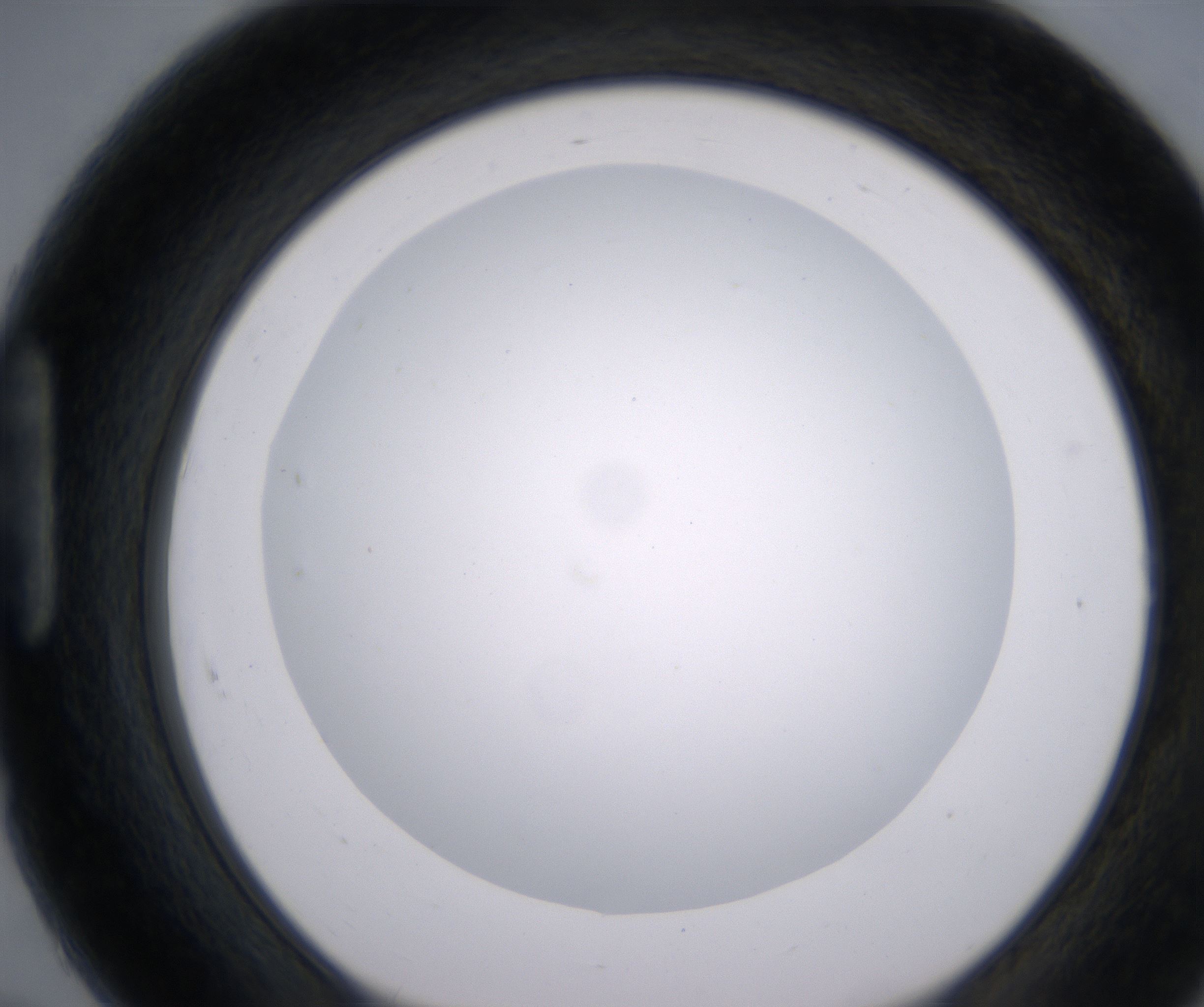 H7_HighResolution_Clear_1.jpg