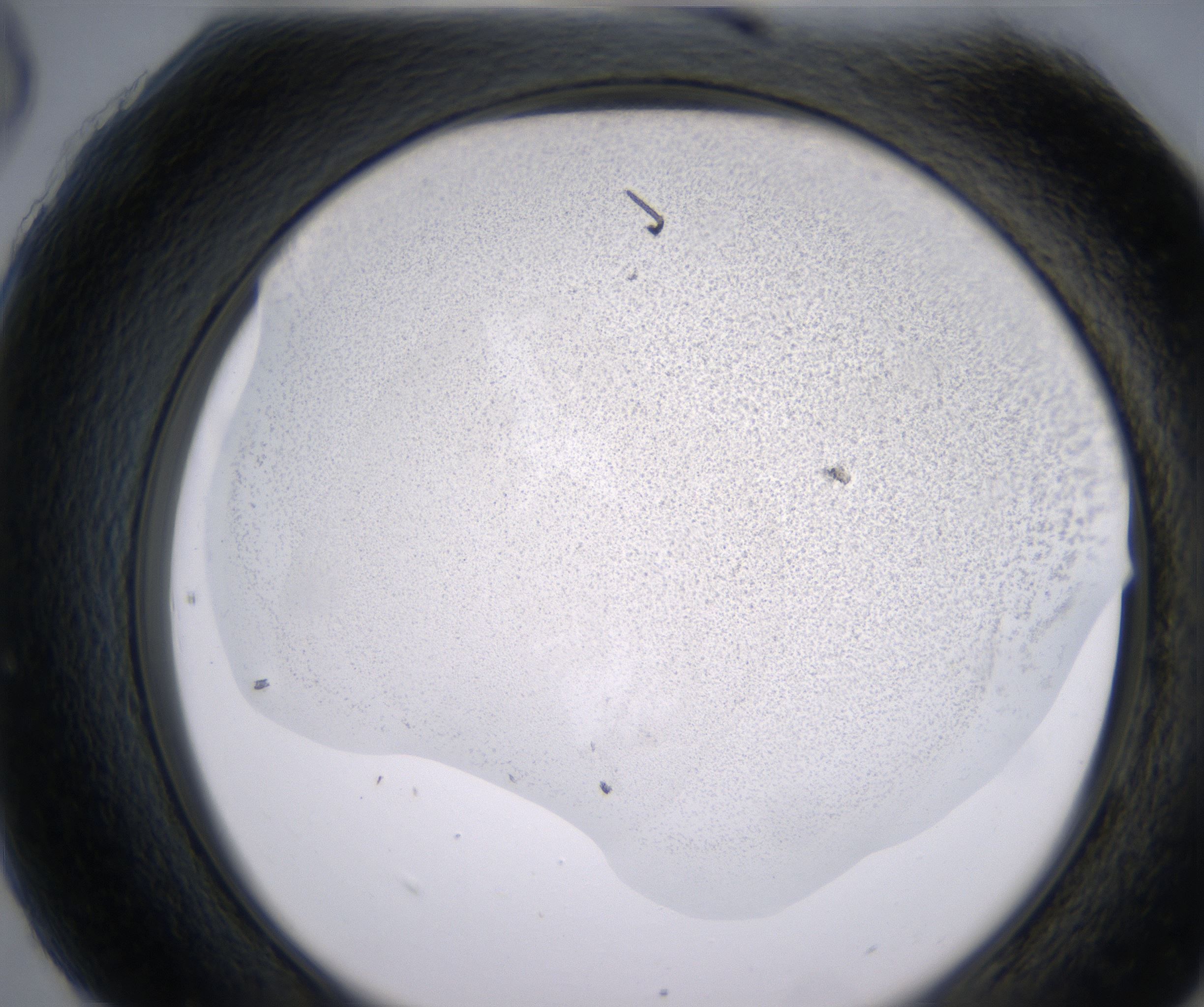 H6_HighResolution_Precipitate_2.jpg