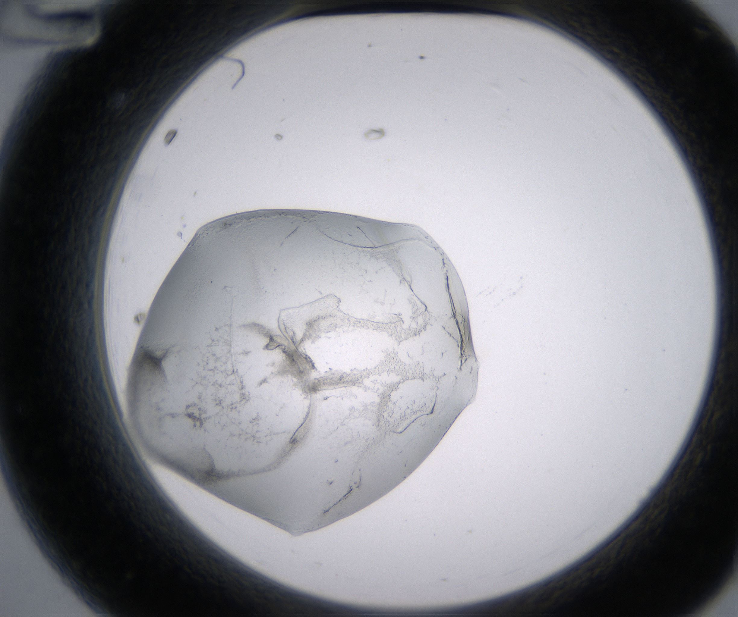 A12_HighResolution_Precipitate_2.jpg