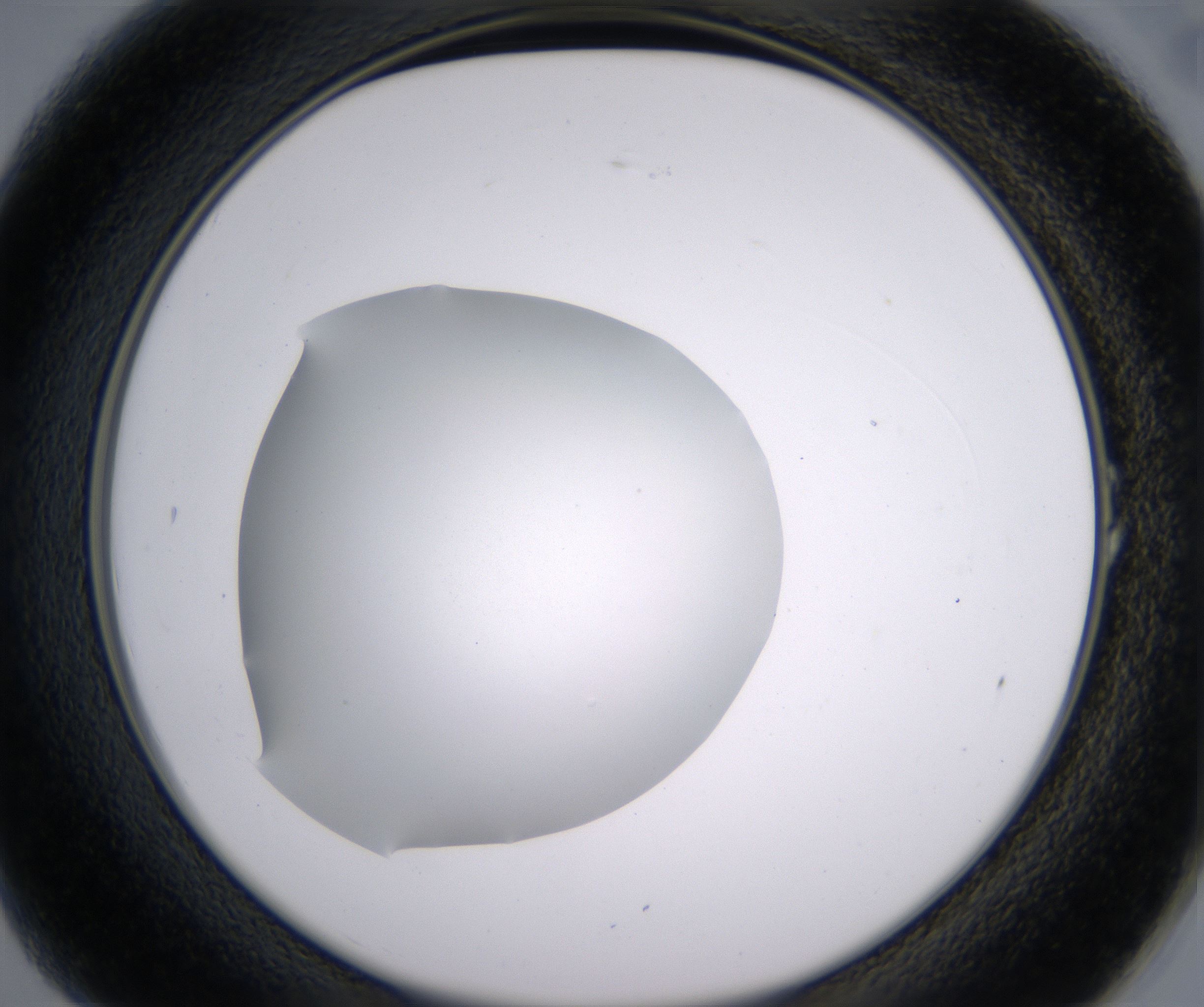 A1_HighResolution_Clear_2.jpg