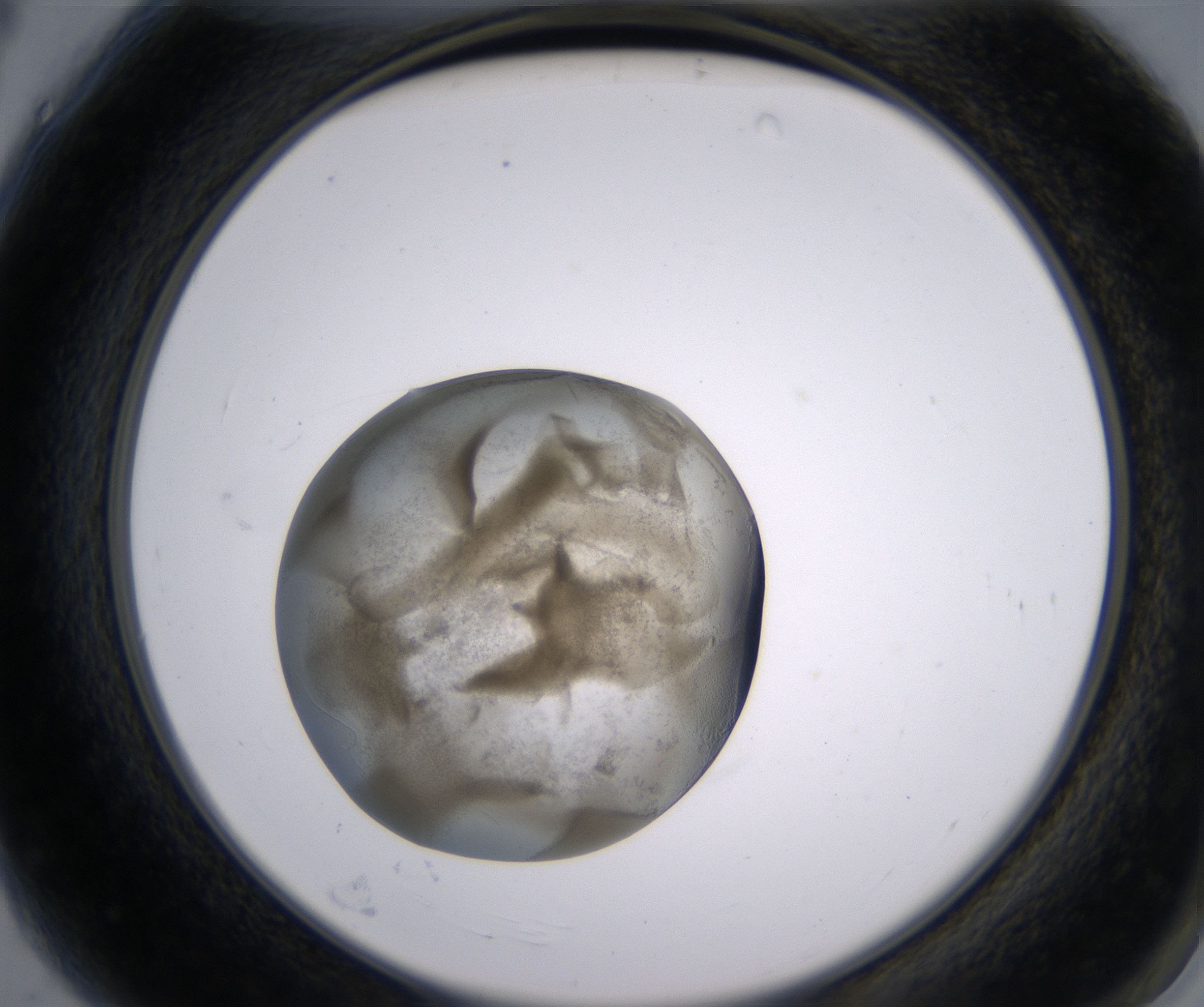 A4_HighResolution_Precipitate_2.jpg
