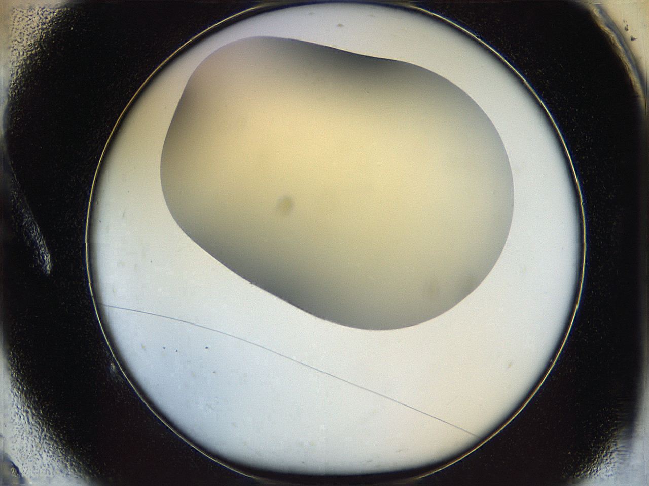 05k2_A9_ImagerDefaults_0.jpg