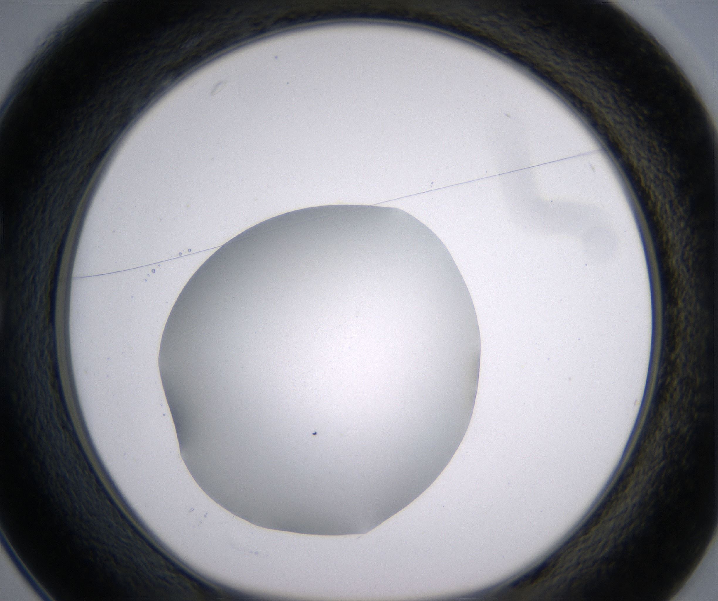 C1_HighResolution_Clear_1.jpg