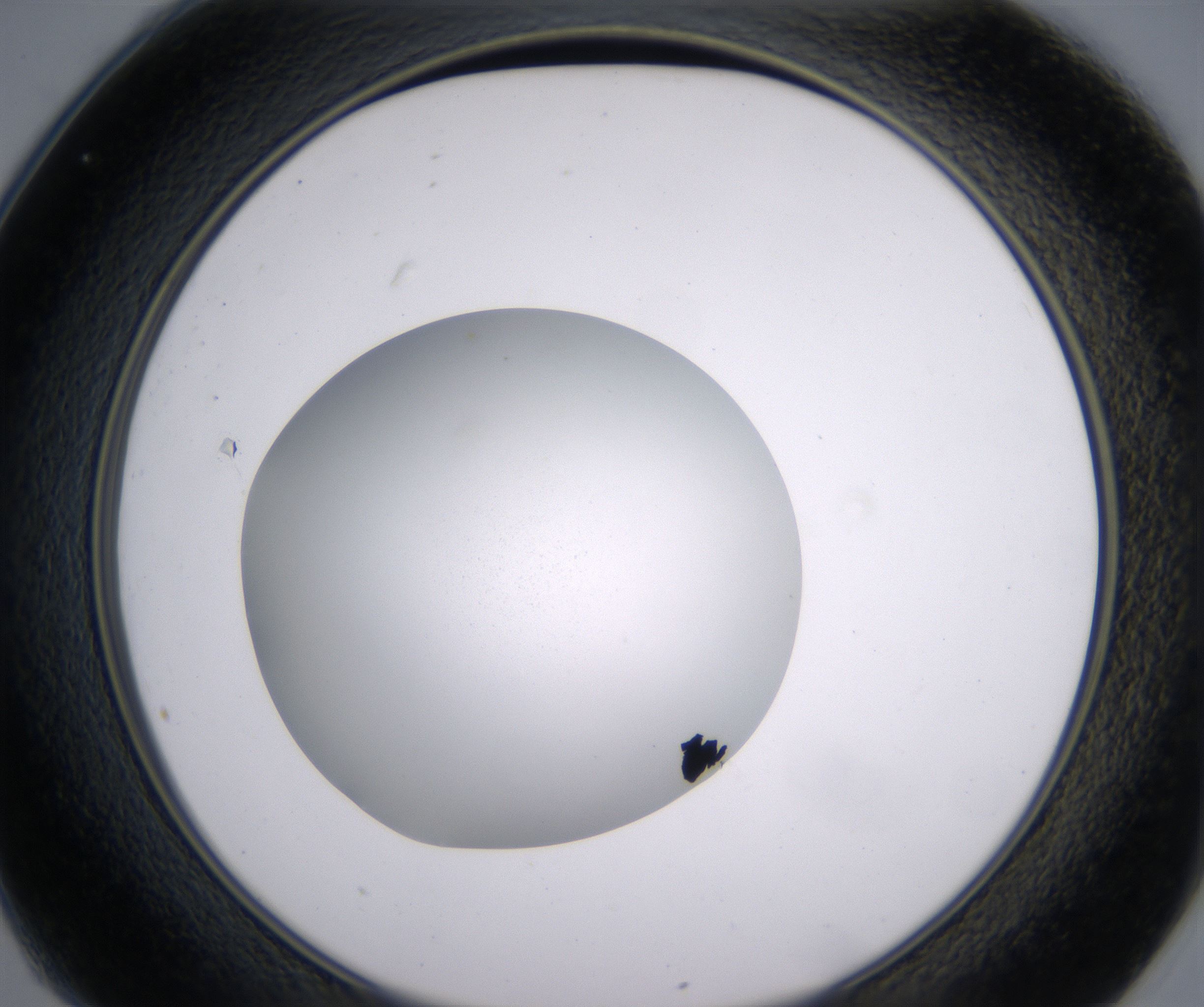 C1_HighResolution_Clear_2.jpg