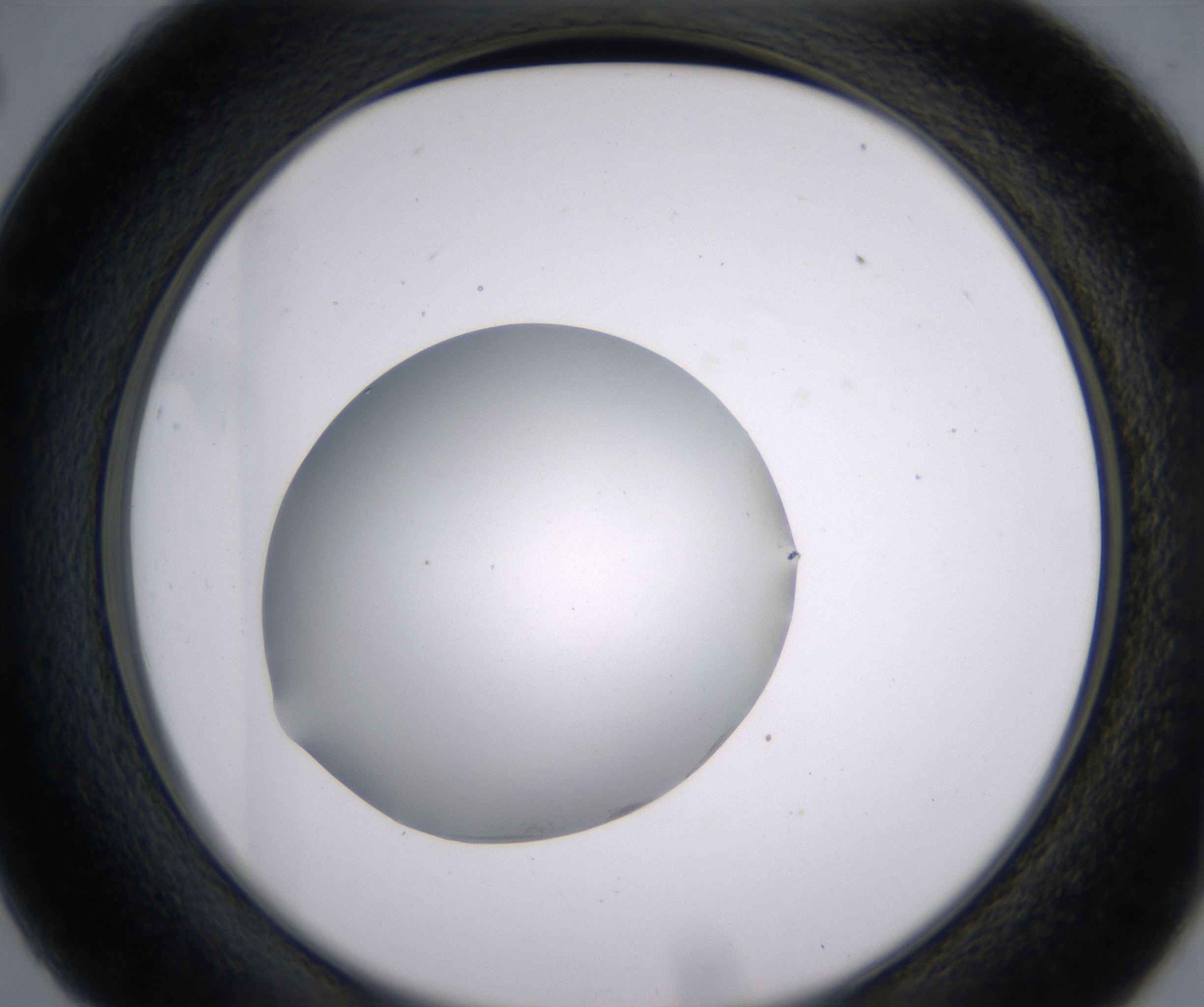 C2_HighResolution_Clear_2.jpg