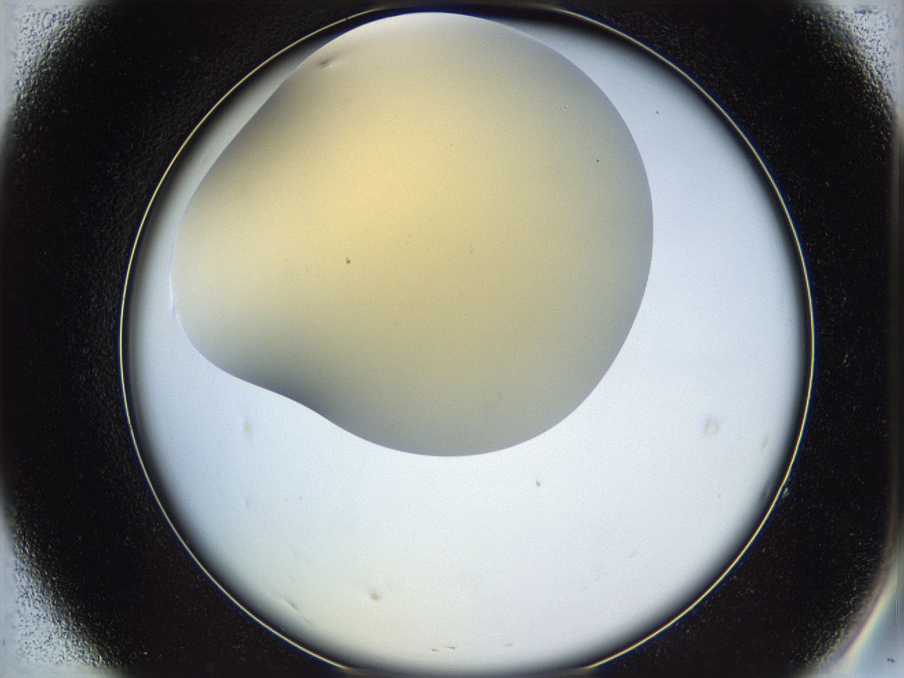 05k2_A7_ImagerDefaults_0.jpg