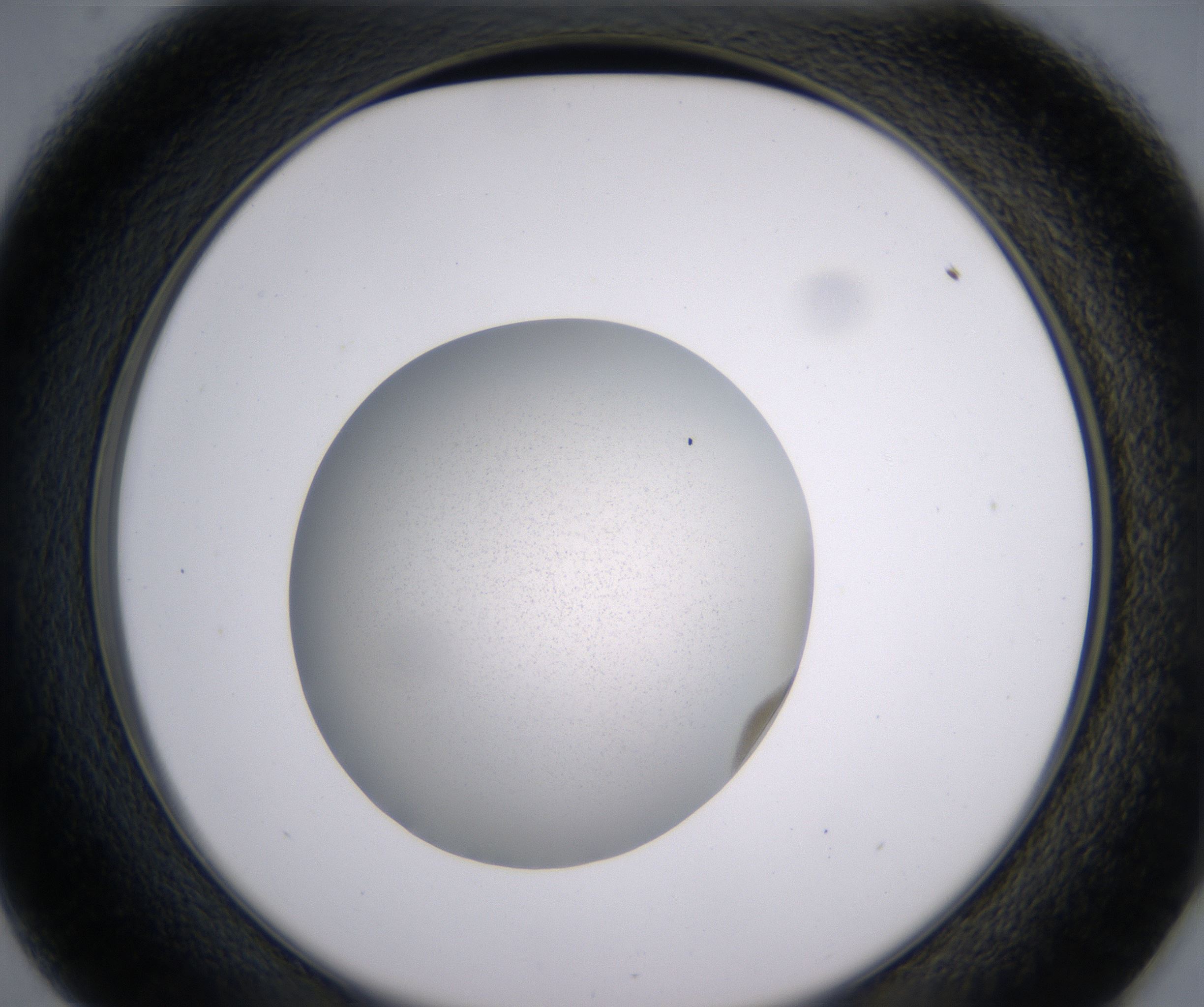 D1_HighResolution_Precipitate_2.jpg