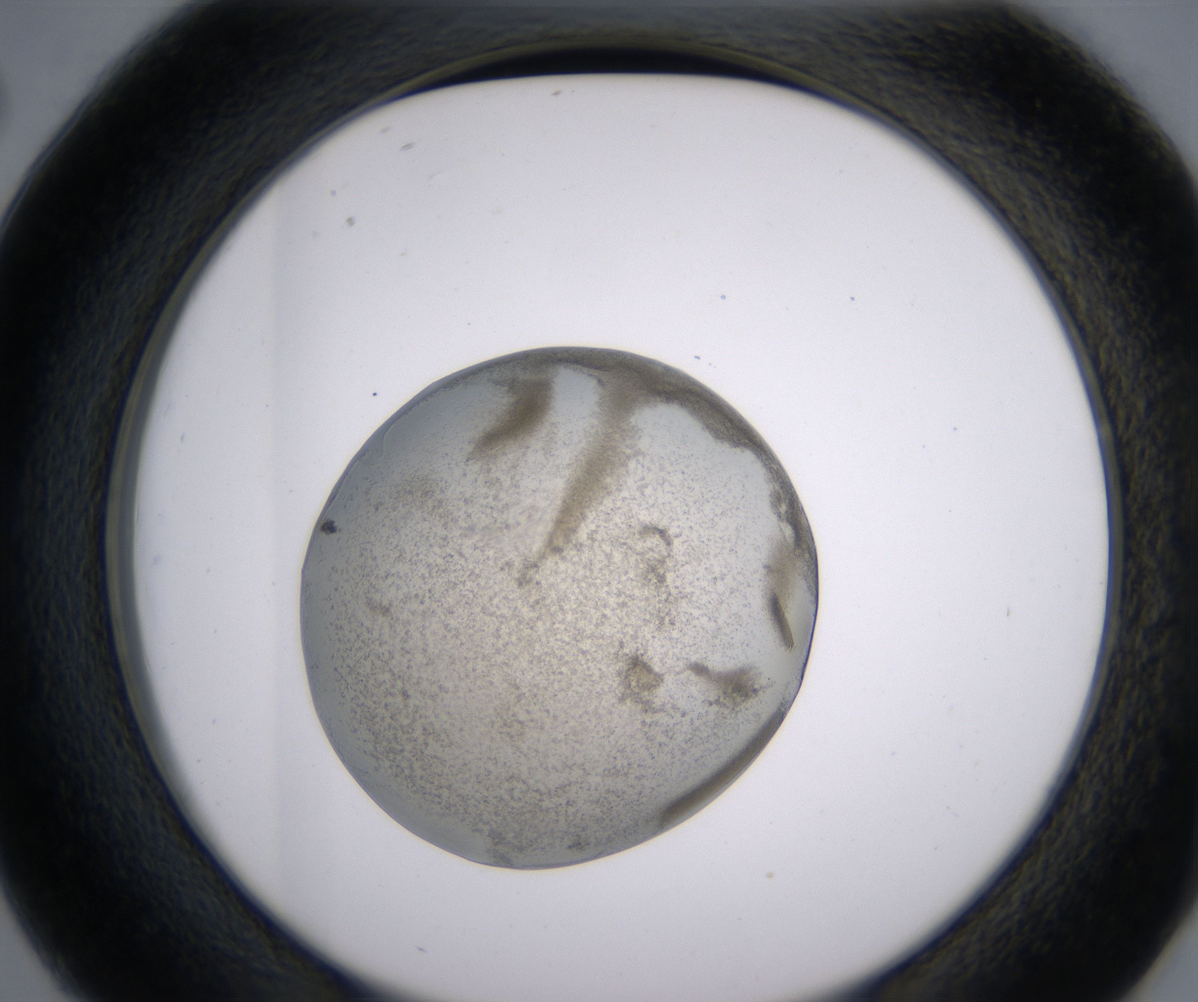 D2_HighResolution_Precipitate_2.jpg