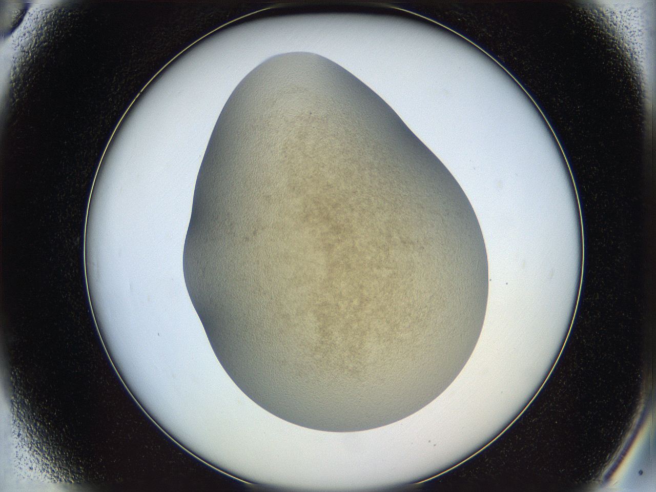 05k2_A6_ImagerDefaults_3.jpg