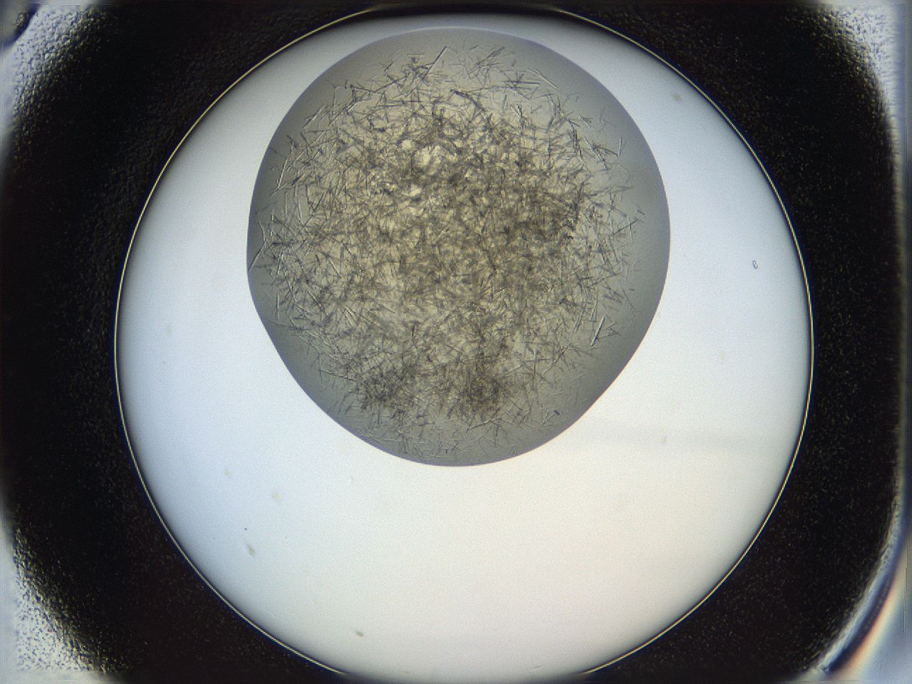 05k2_A5_ImagerDefaults_6.jpg