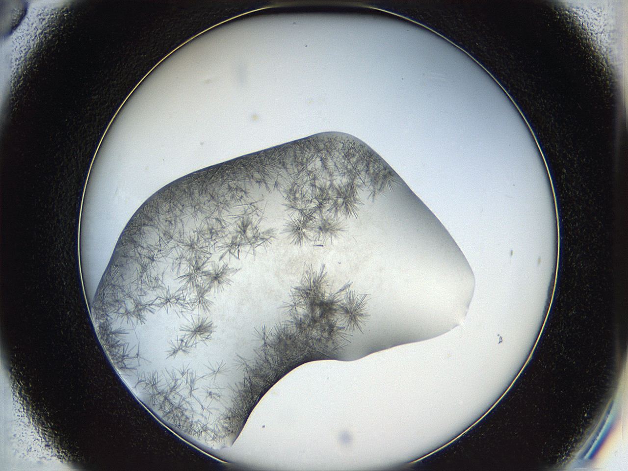 05k2_C6_ImagerDefaults_6.jpg