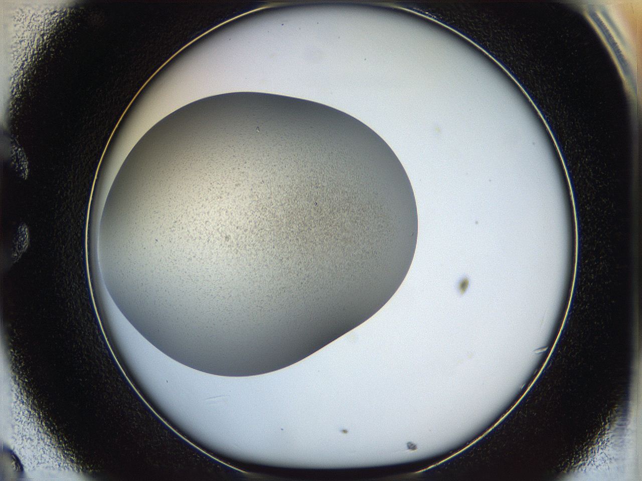 05k2_C8_ImagerDefaults_2.jpg
