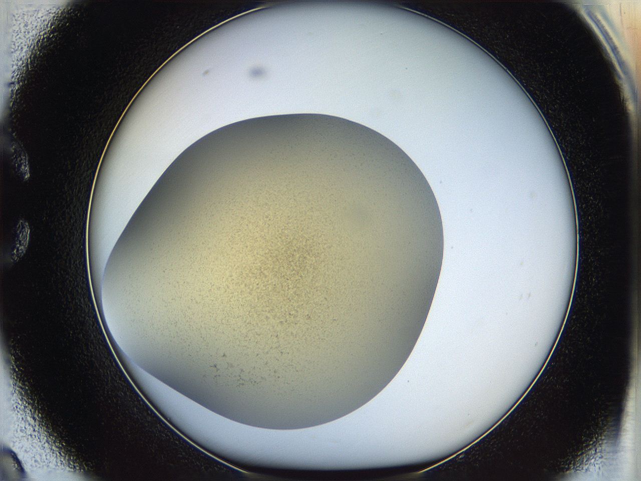05k2_C9_ImagerDefaults_2.jpg