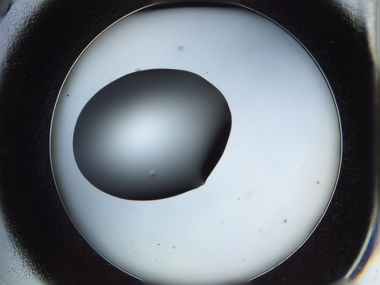 05k2_C9_ImagerDefaults_0.jpg