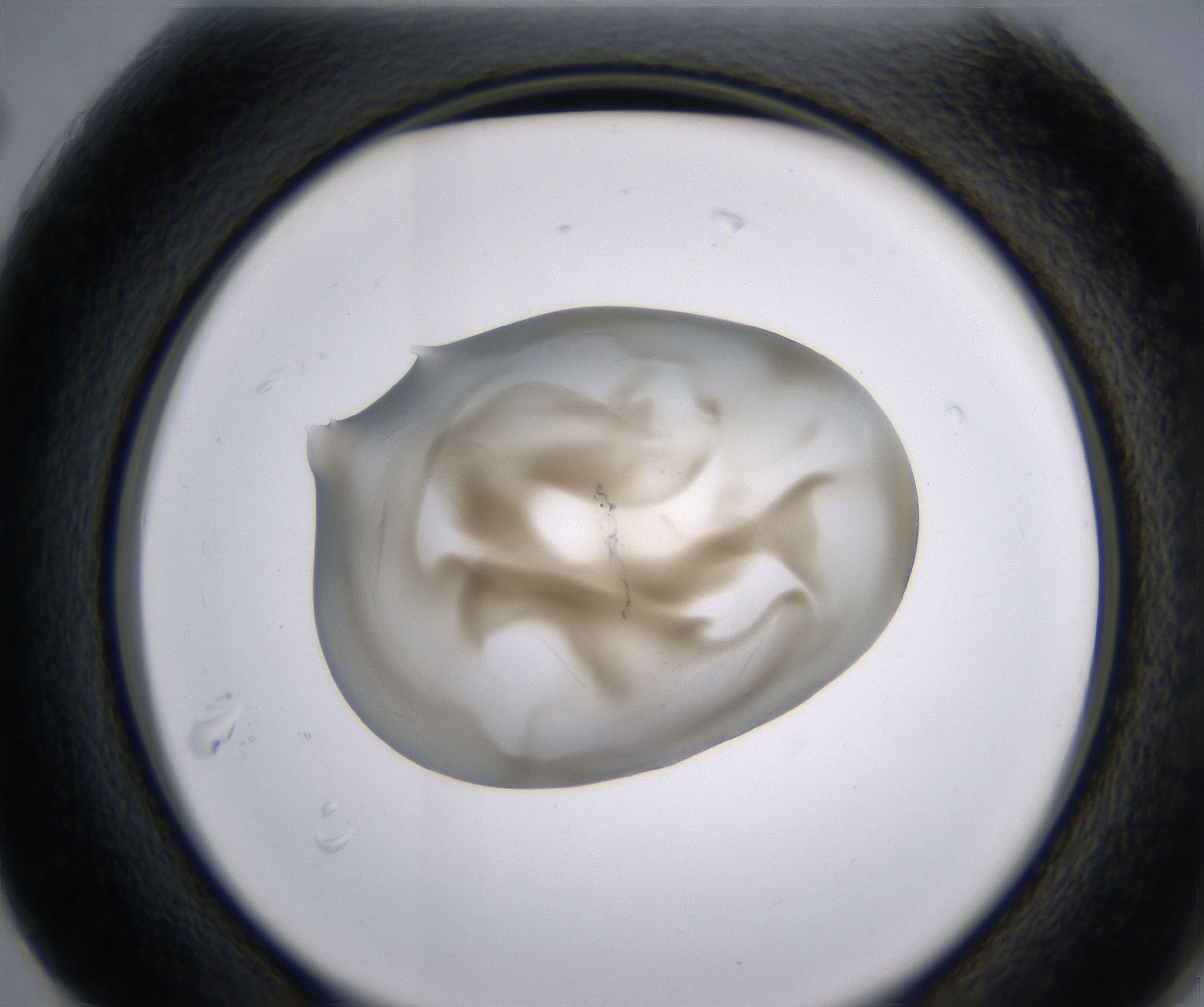 G2_HighResolution_Precipitate_2.jpg
